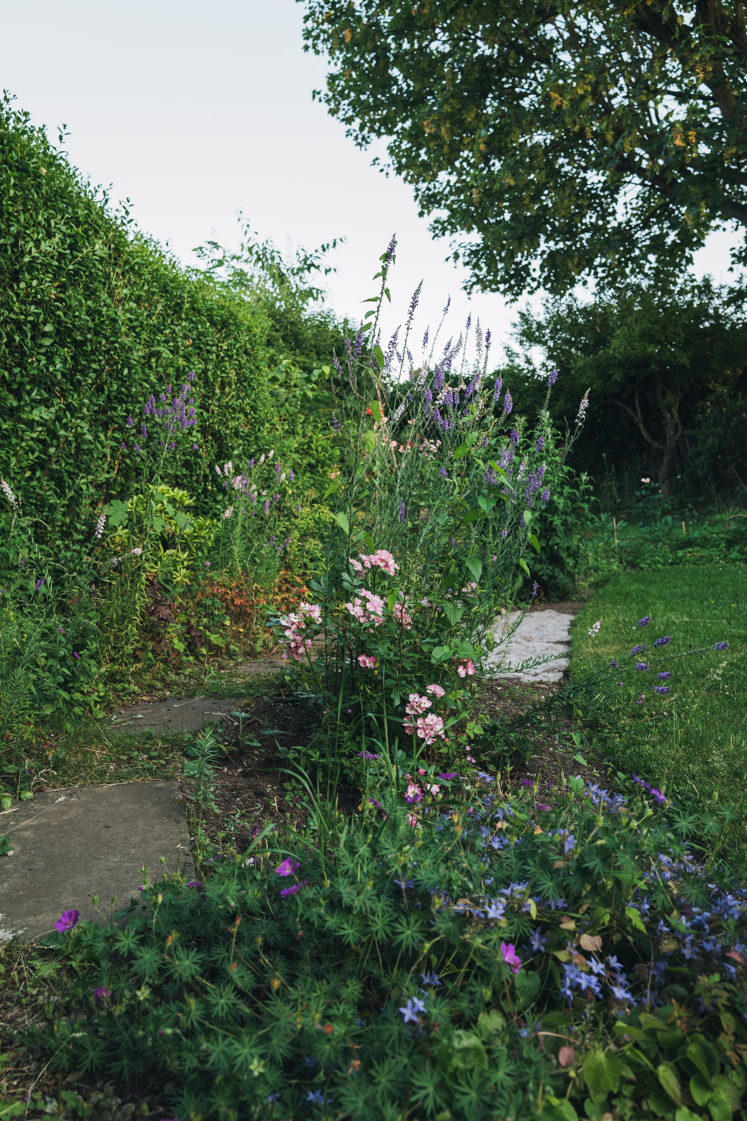 Our Garden-21.jpg