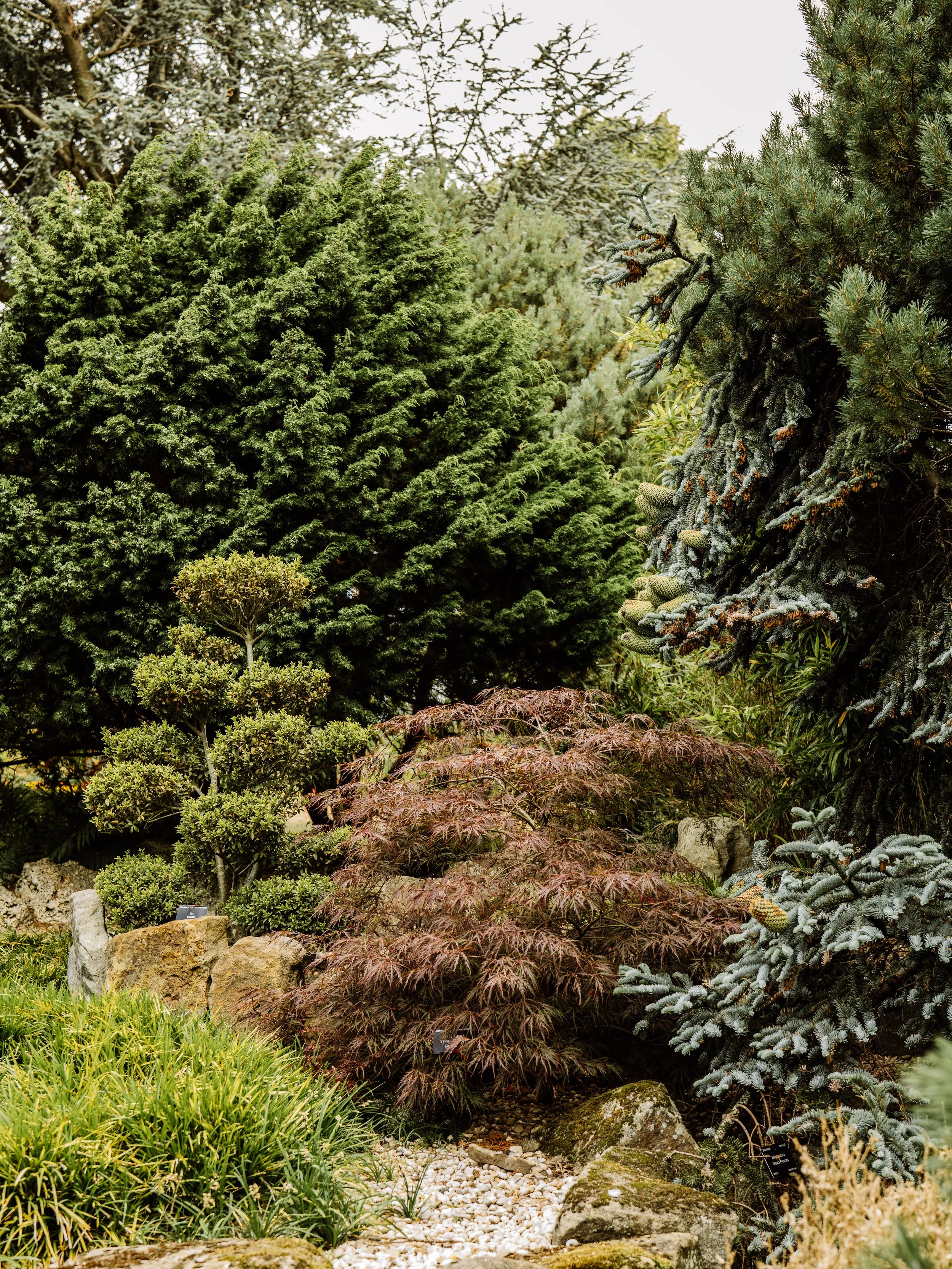 Botanical-28.jpg
