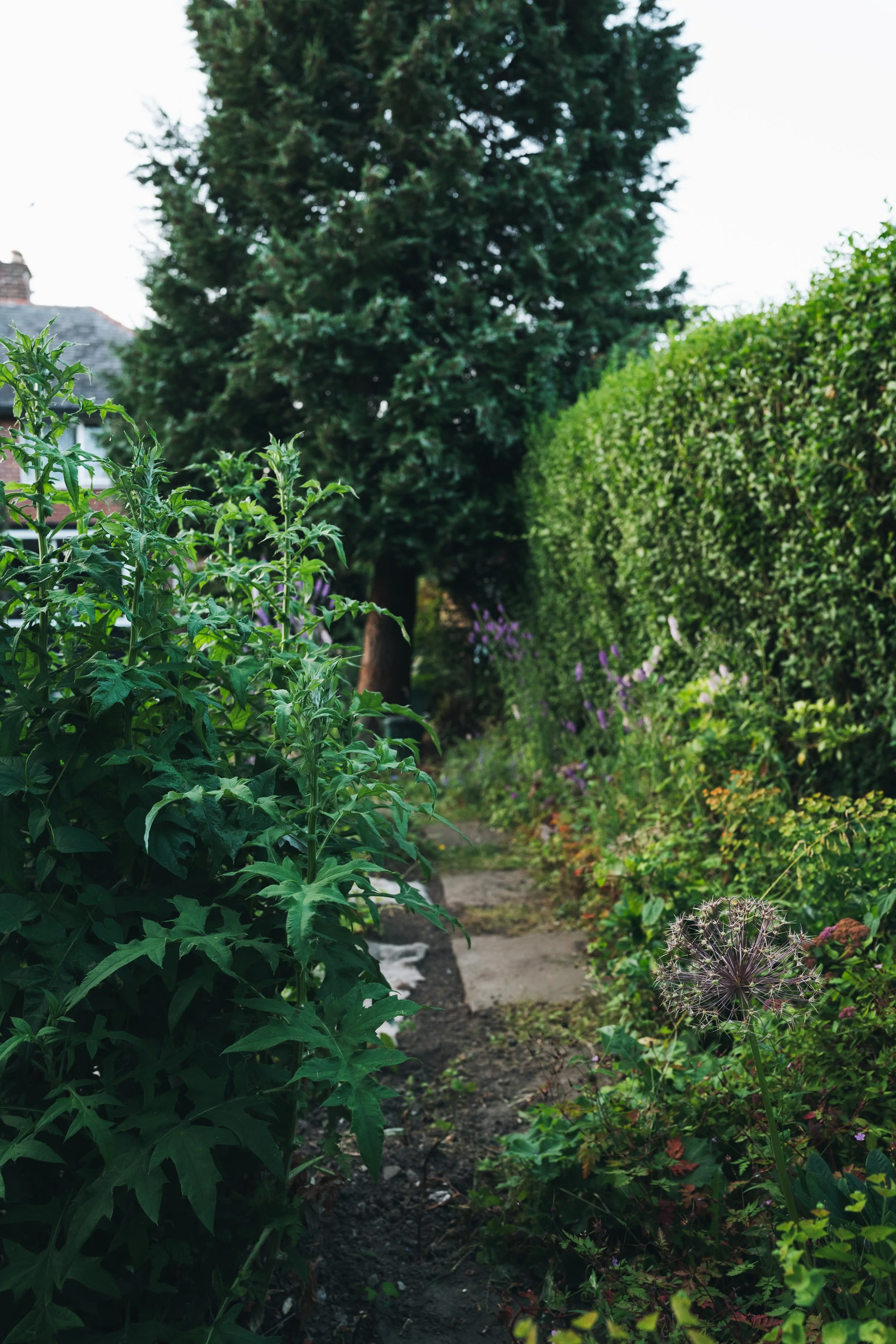 Our Garden-48.jpg