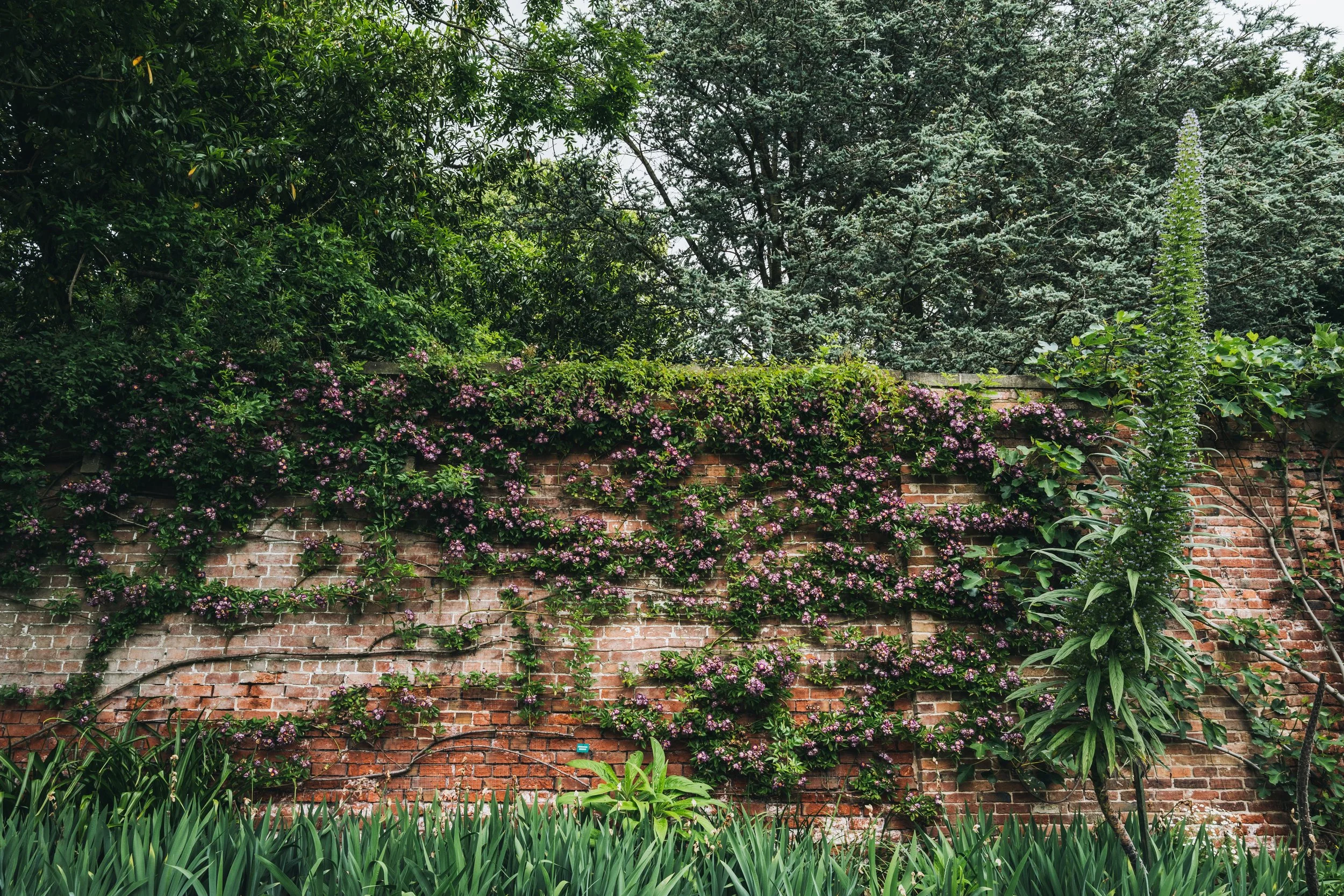 Renishaw Gardens 2-69.jpg