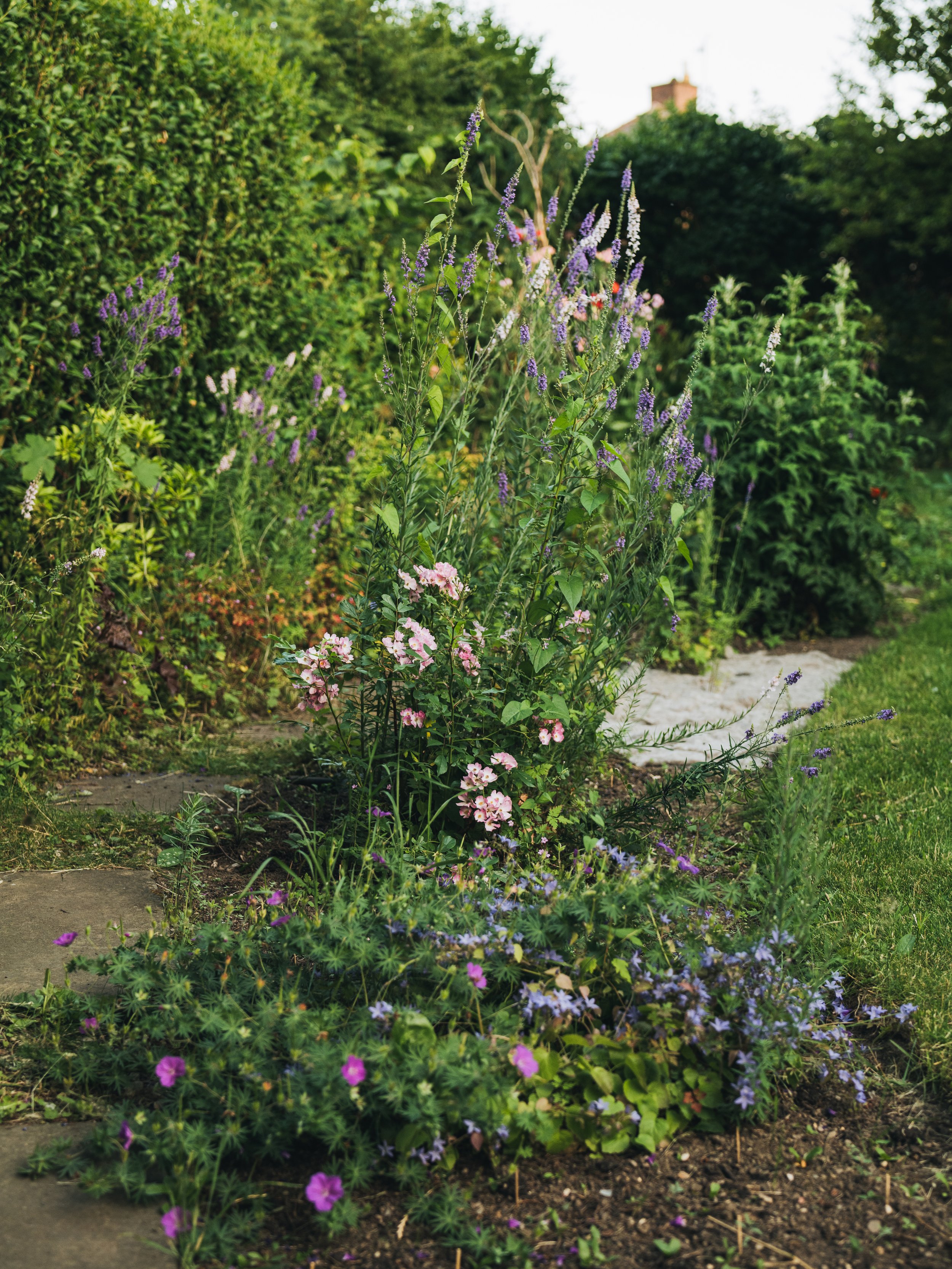 Our Garden-23.jpg