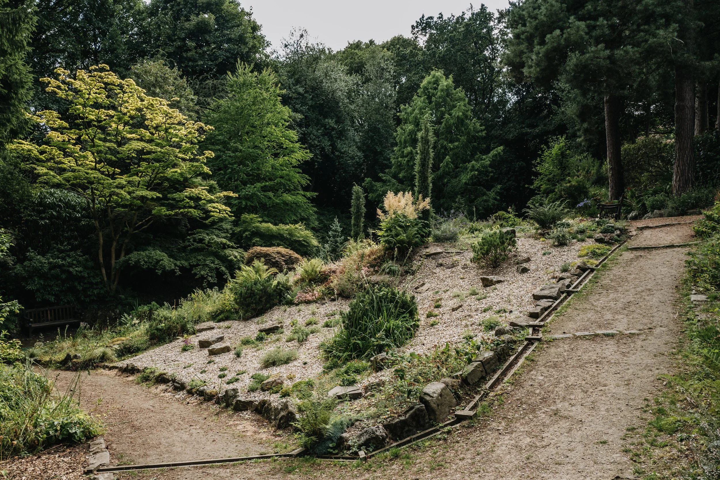 Botanical-49.jpg