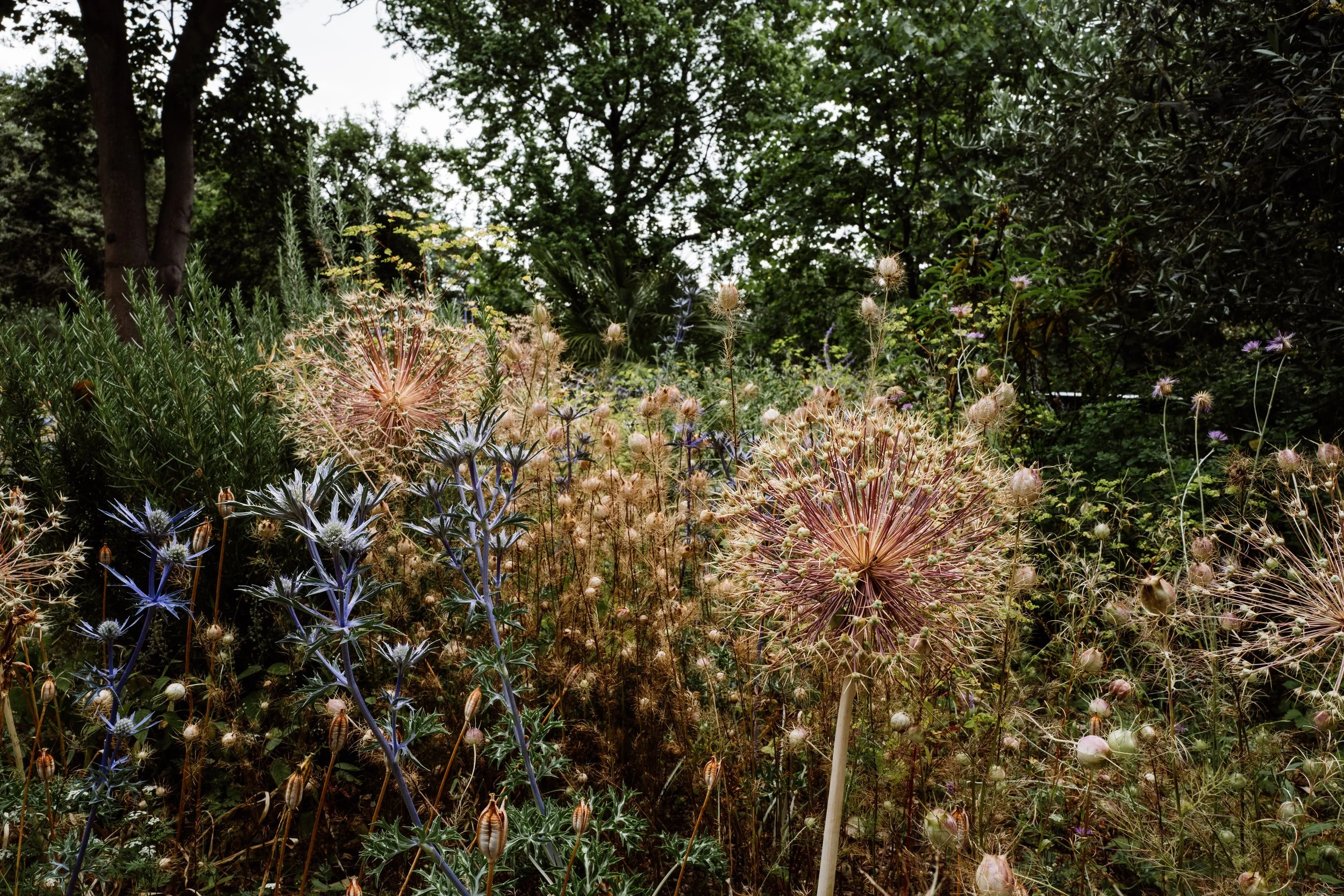 Botanical-101.jpg