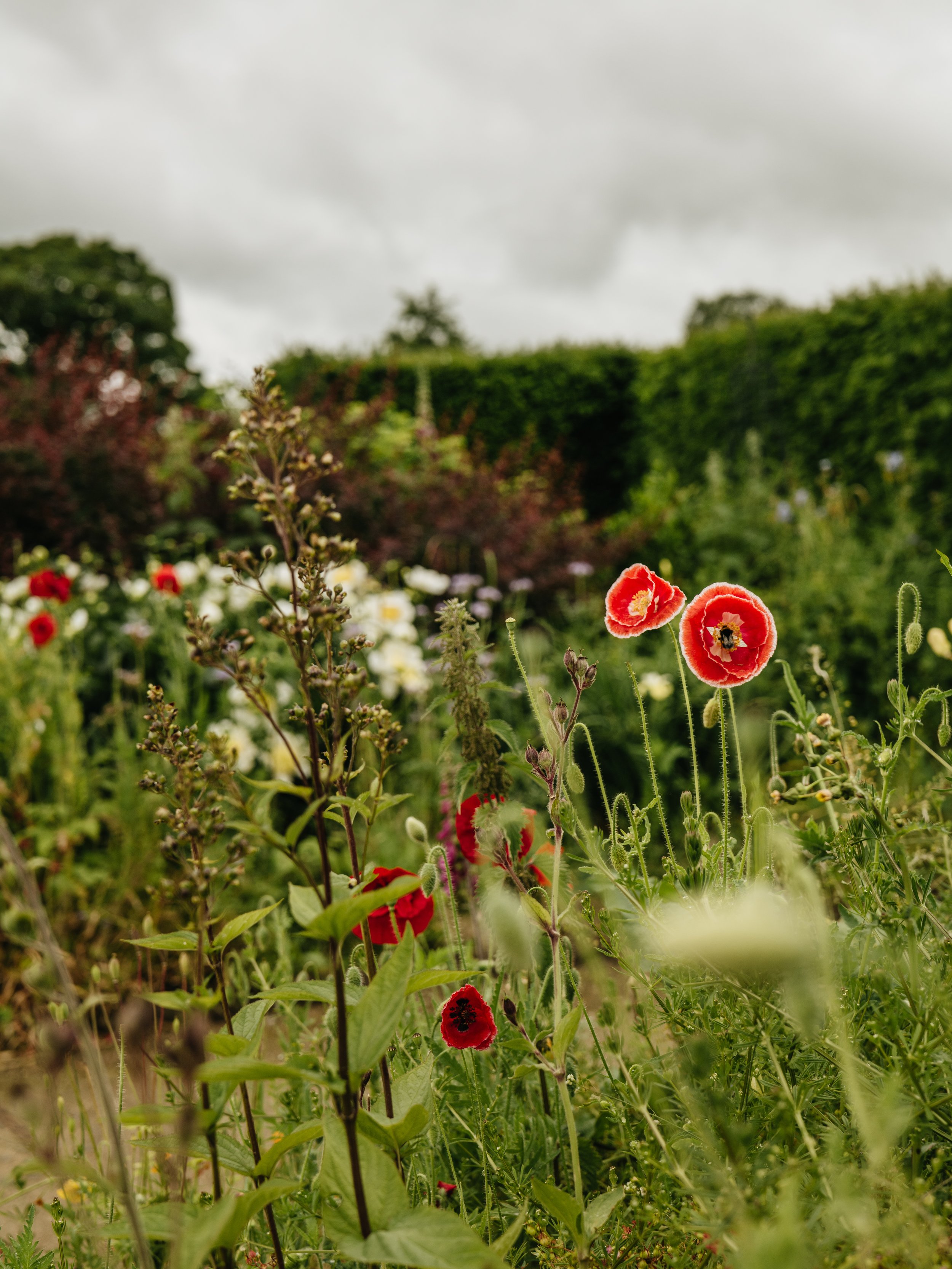 Wentworth Castle Gardens-6.jpg