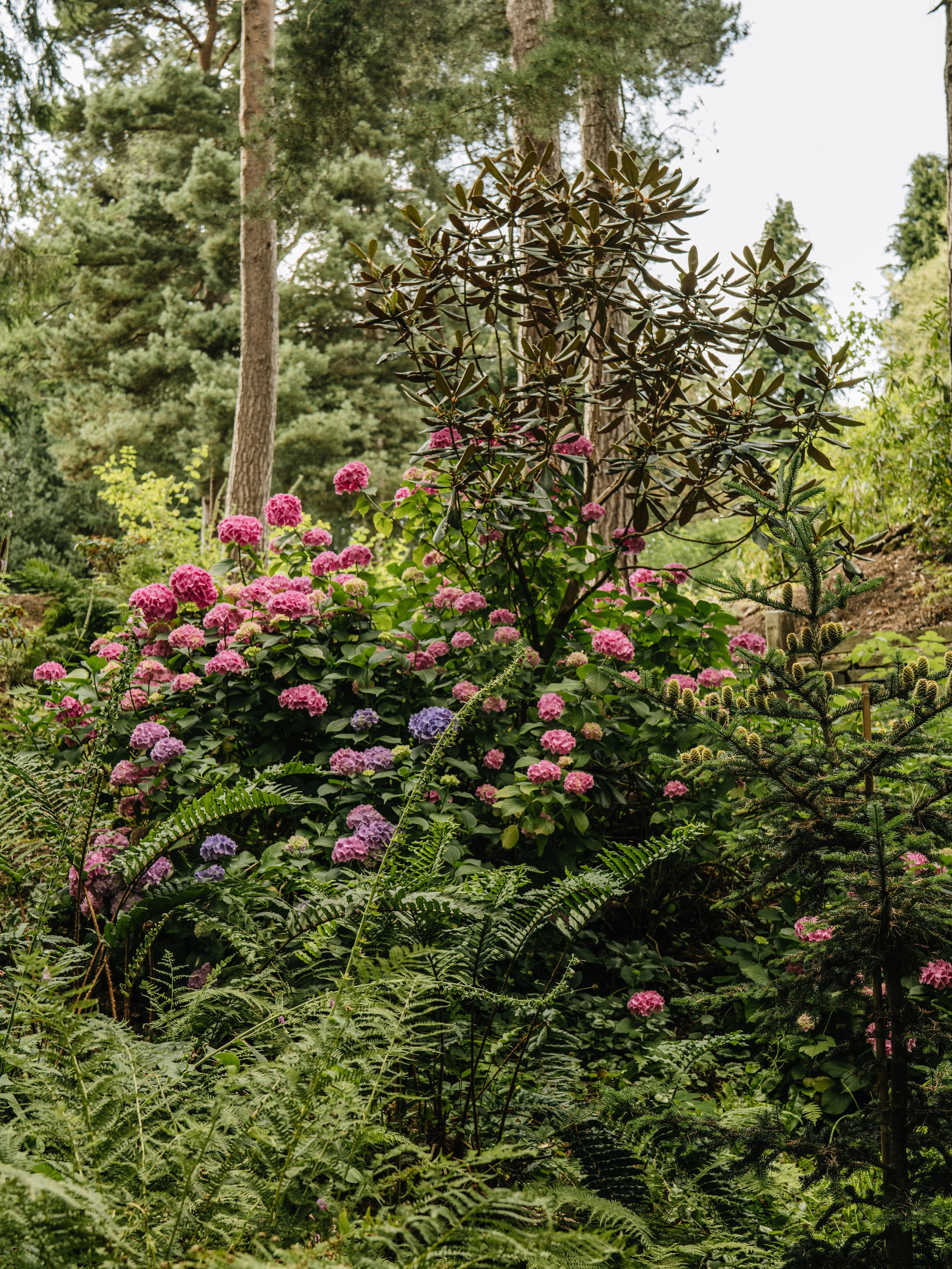 Botanical-29.jpg