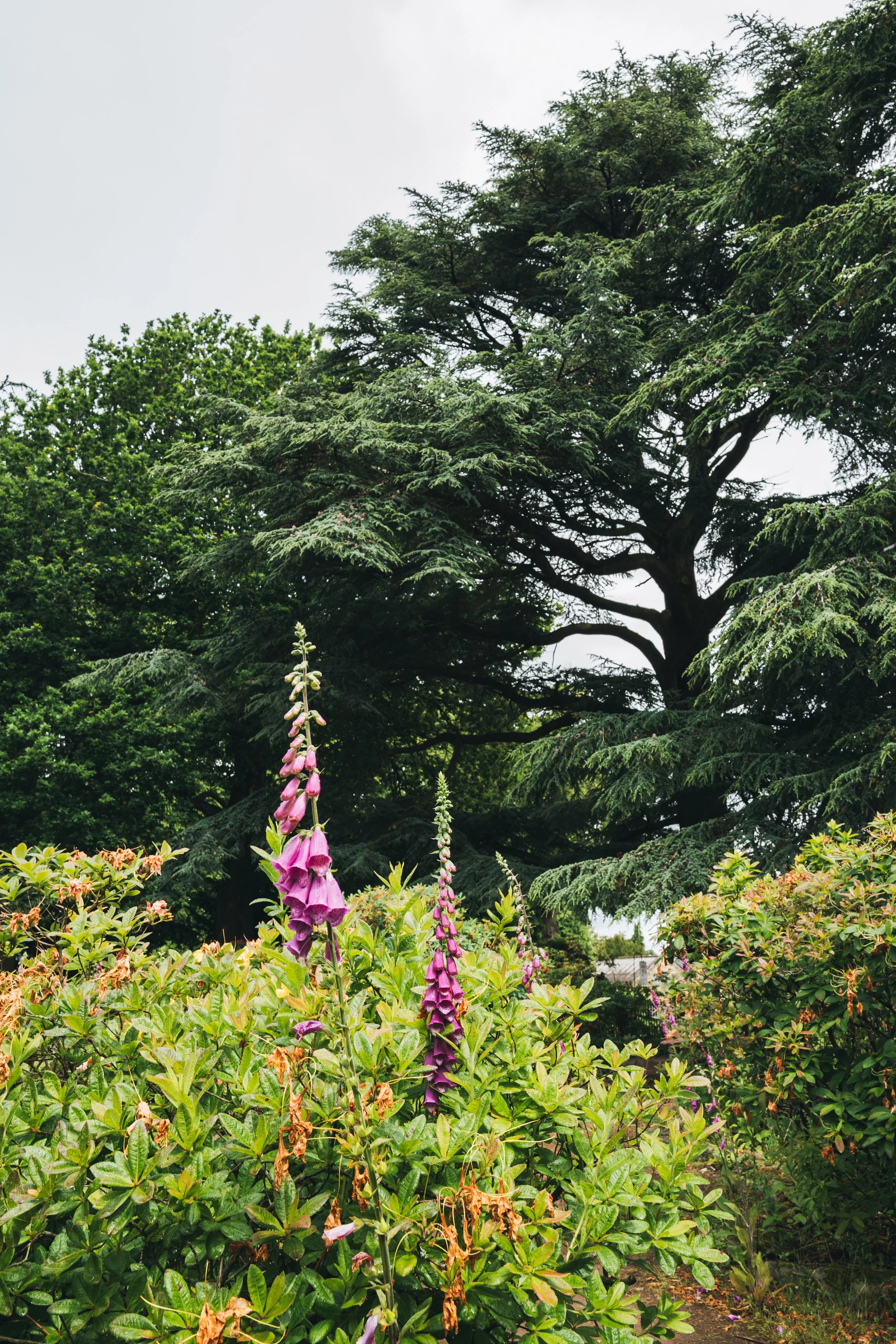 Wentworth Castle Gardens-109.jpg