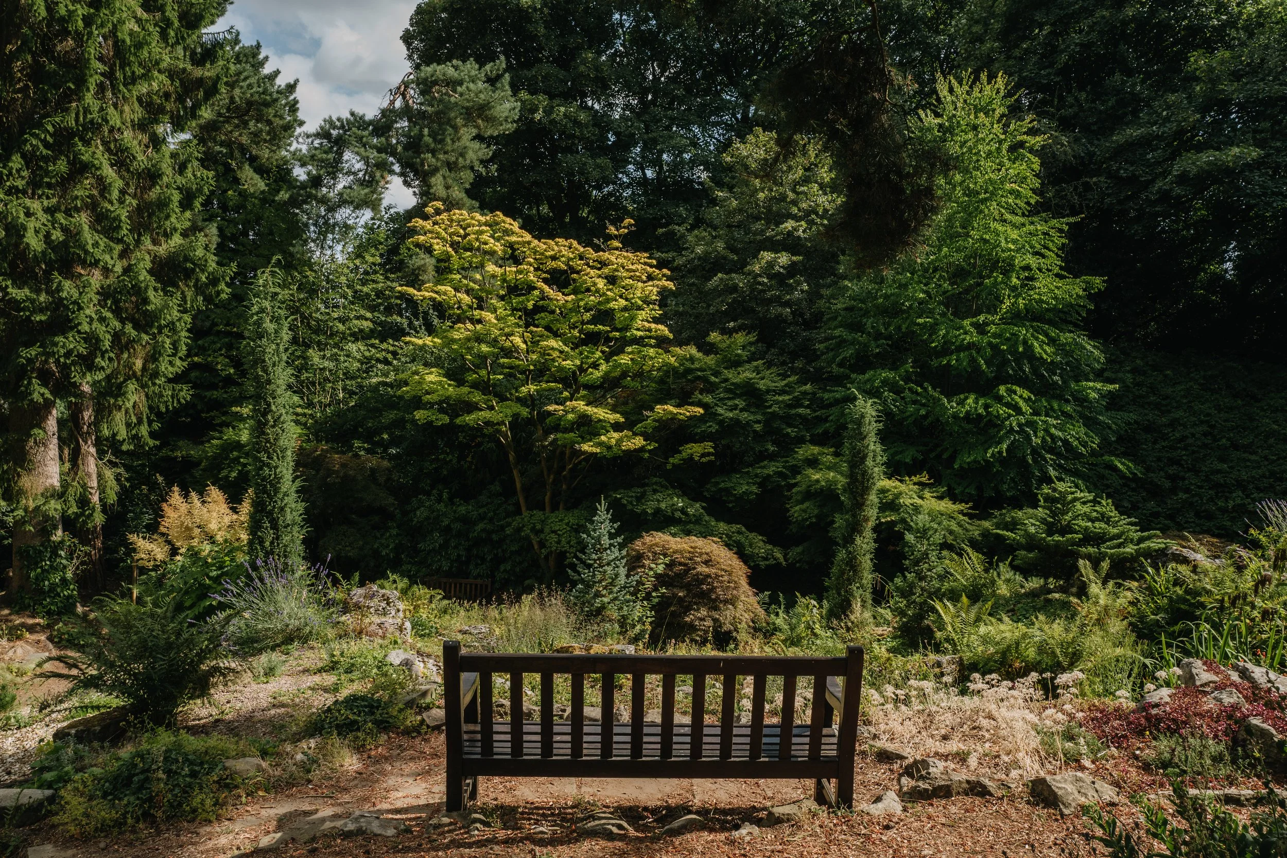 Botanical-19.jpg