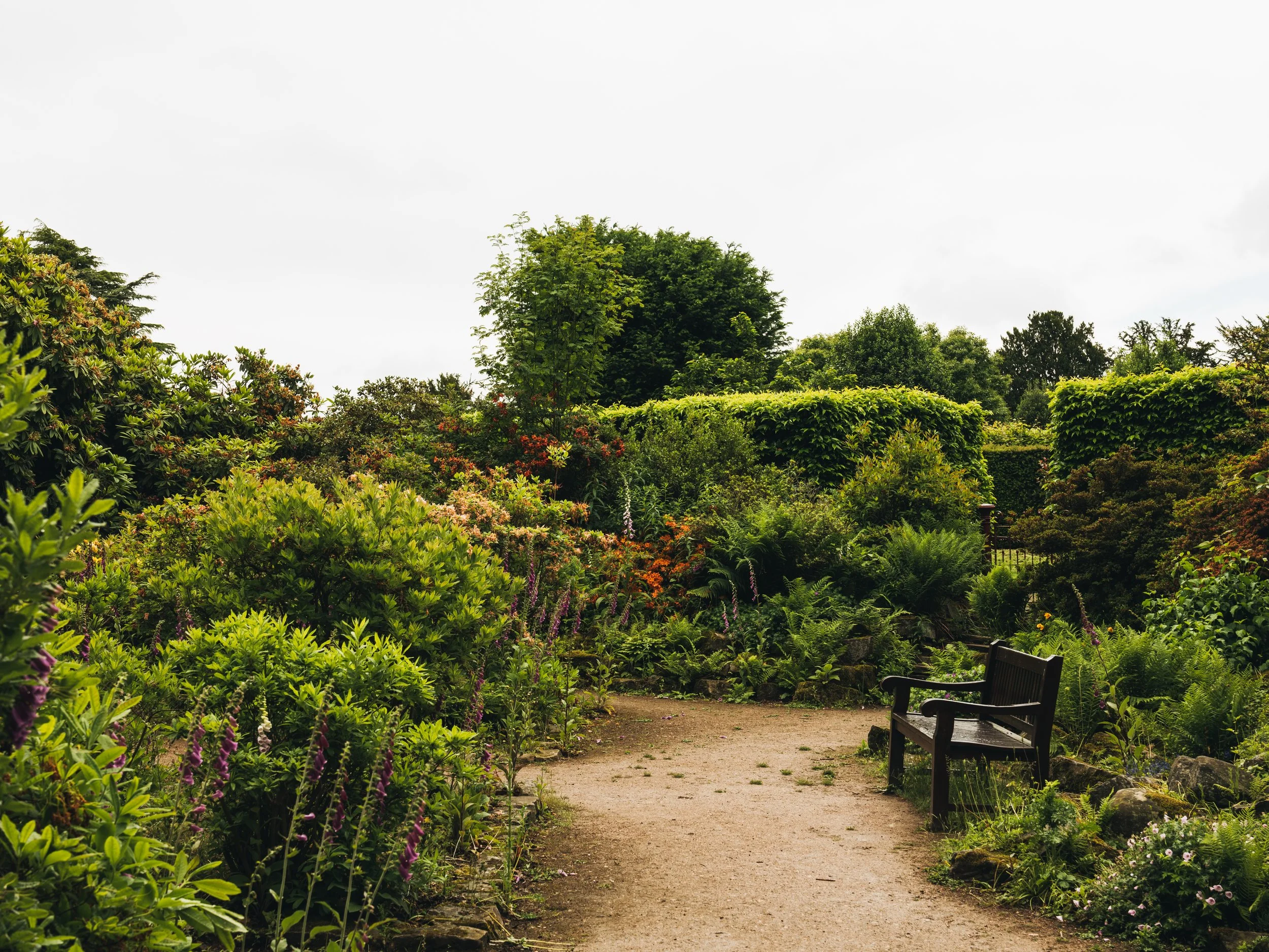 Wentworth Castle Gardens-88.jpg