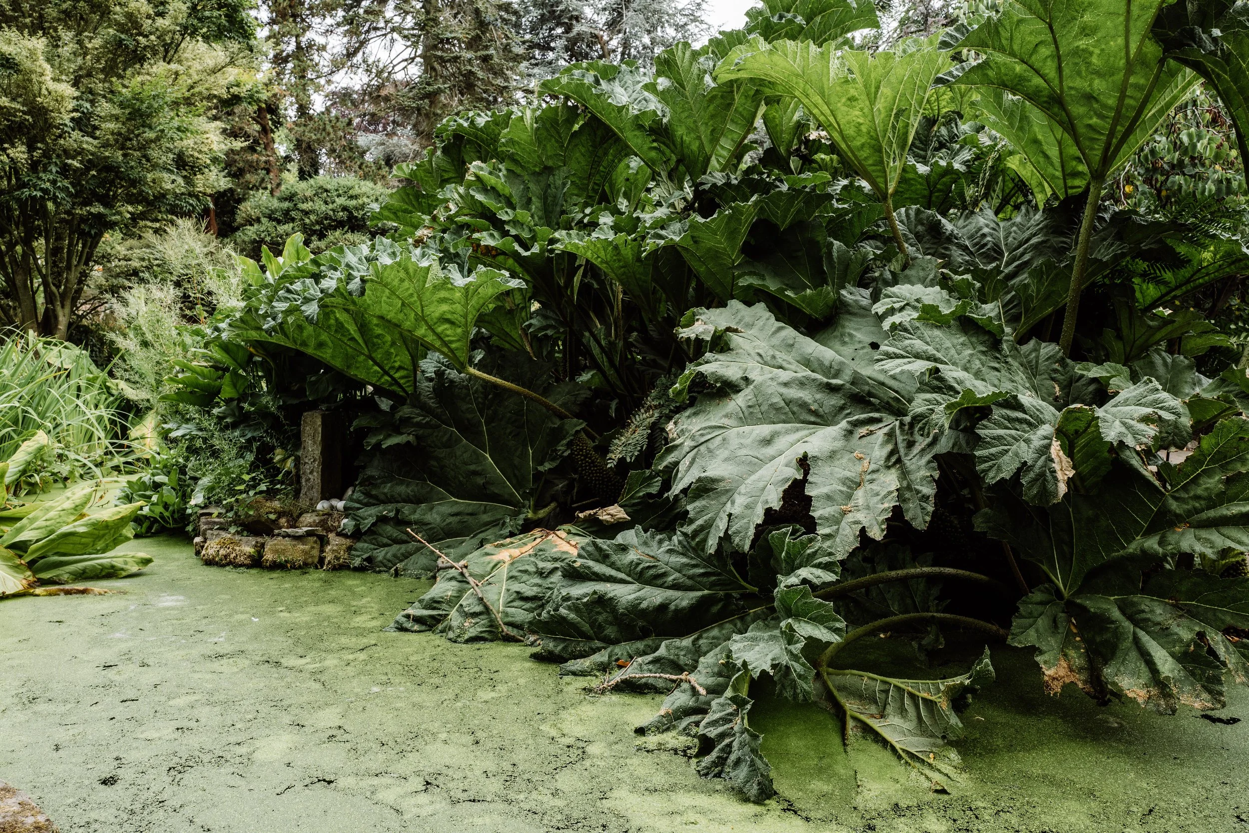 Sheffield Botanical Gardens