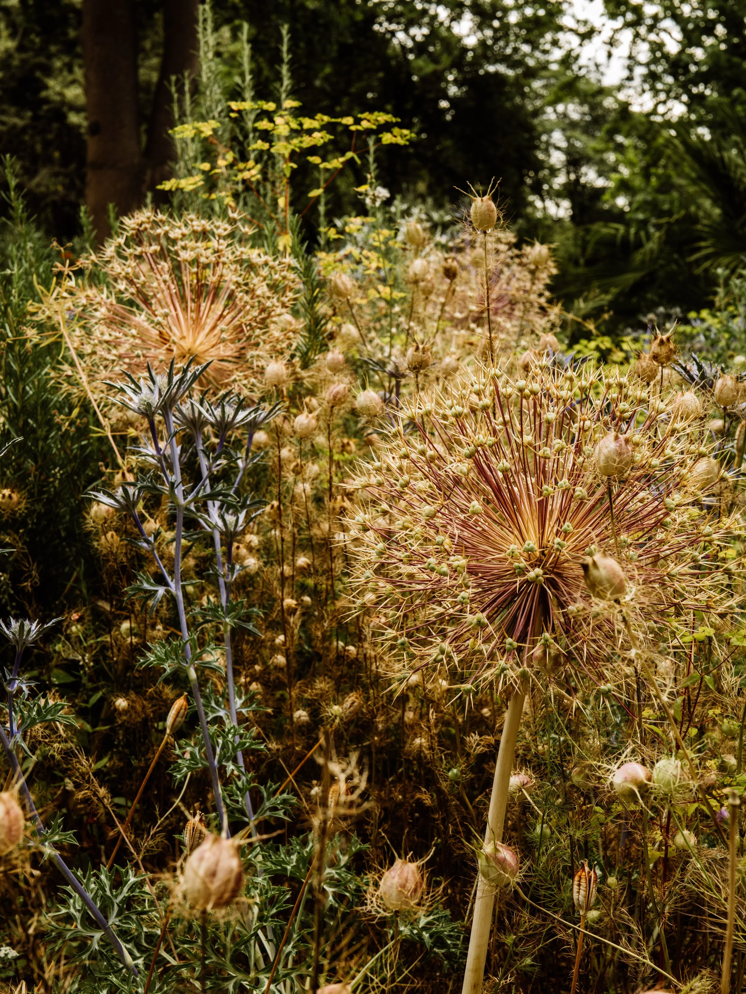 Botanical-85.jpg