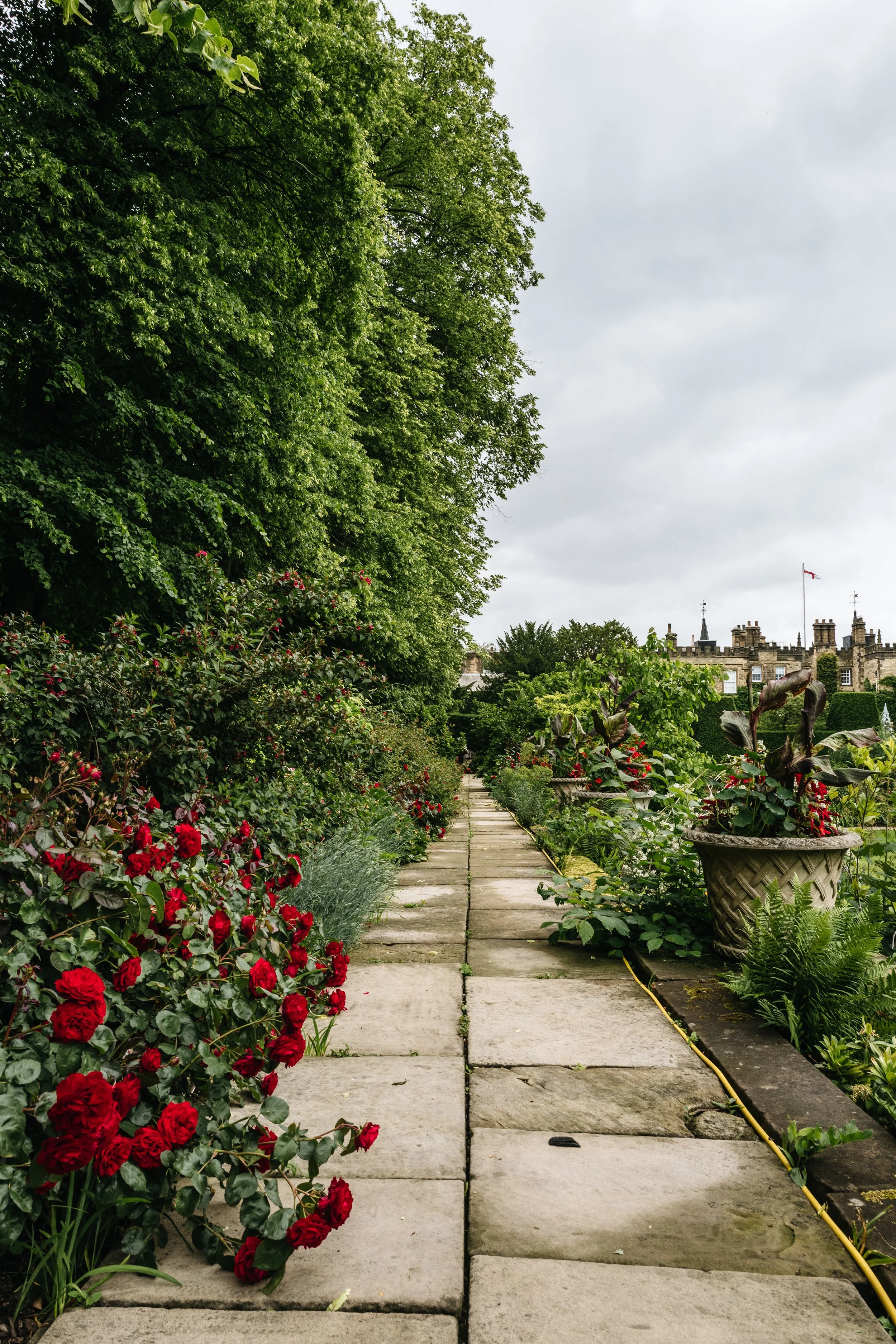 Renishaw Gardens 2-12.jpg