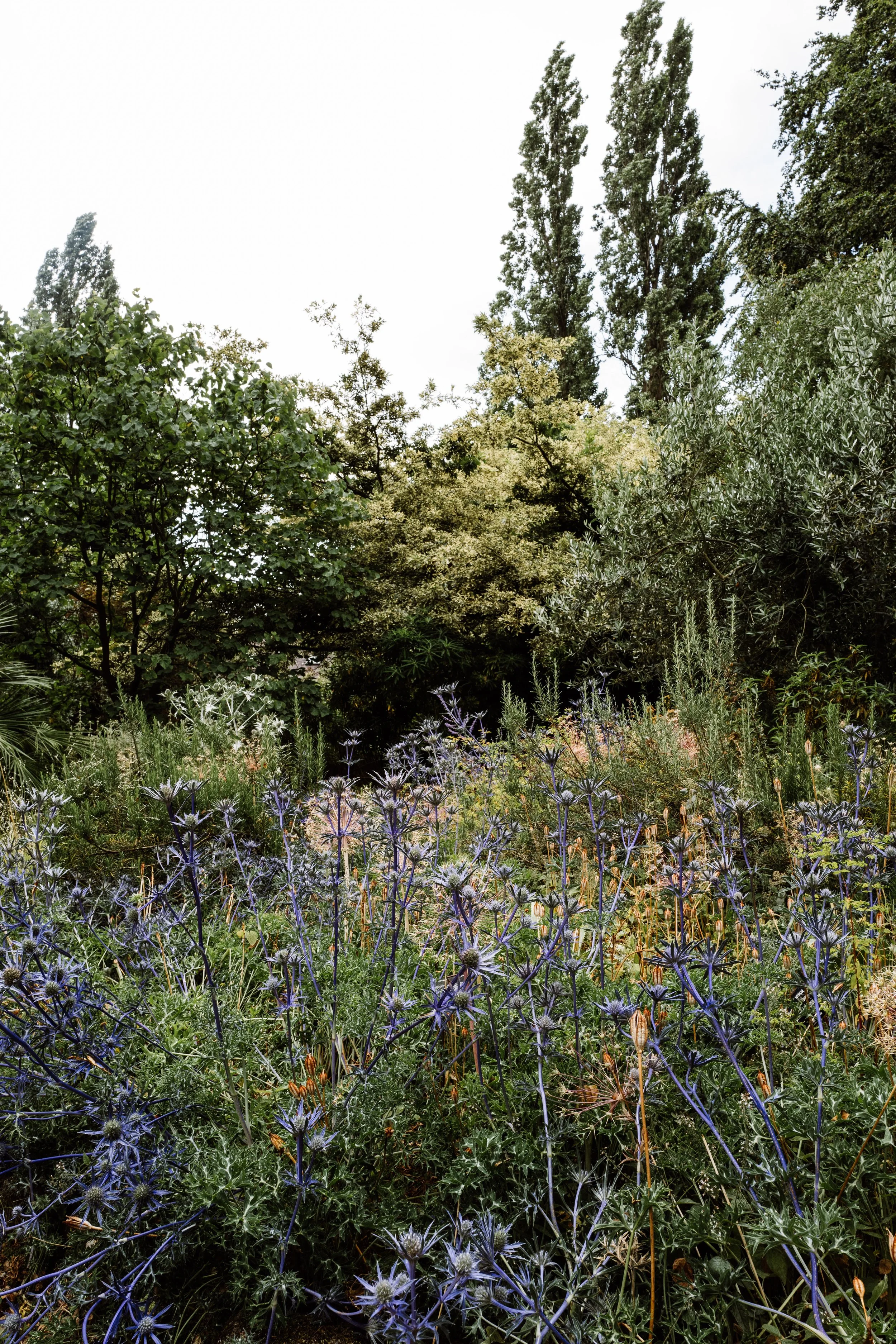 Botanical-99.jpg