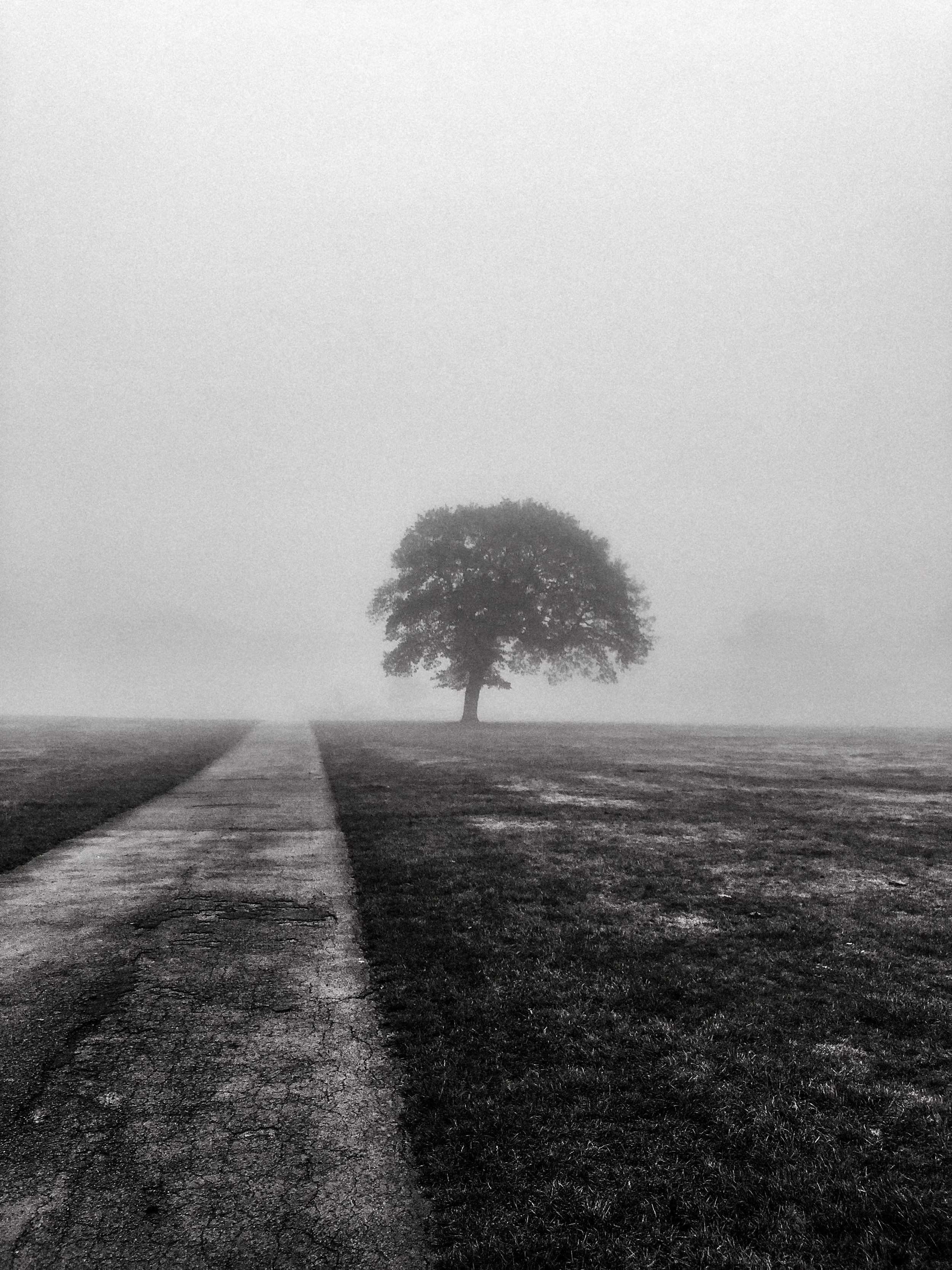 Walking Additional-13.jpg