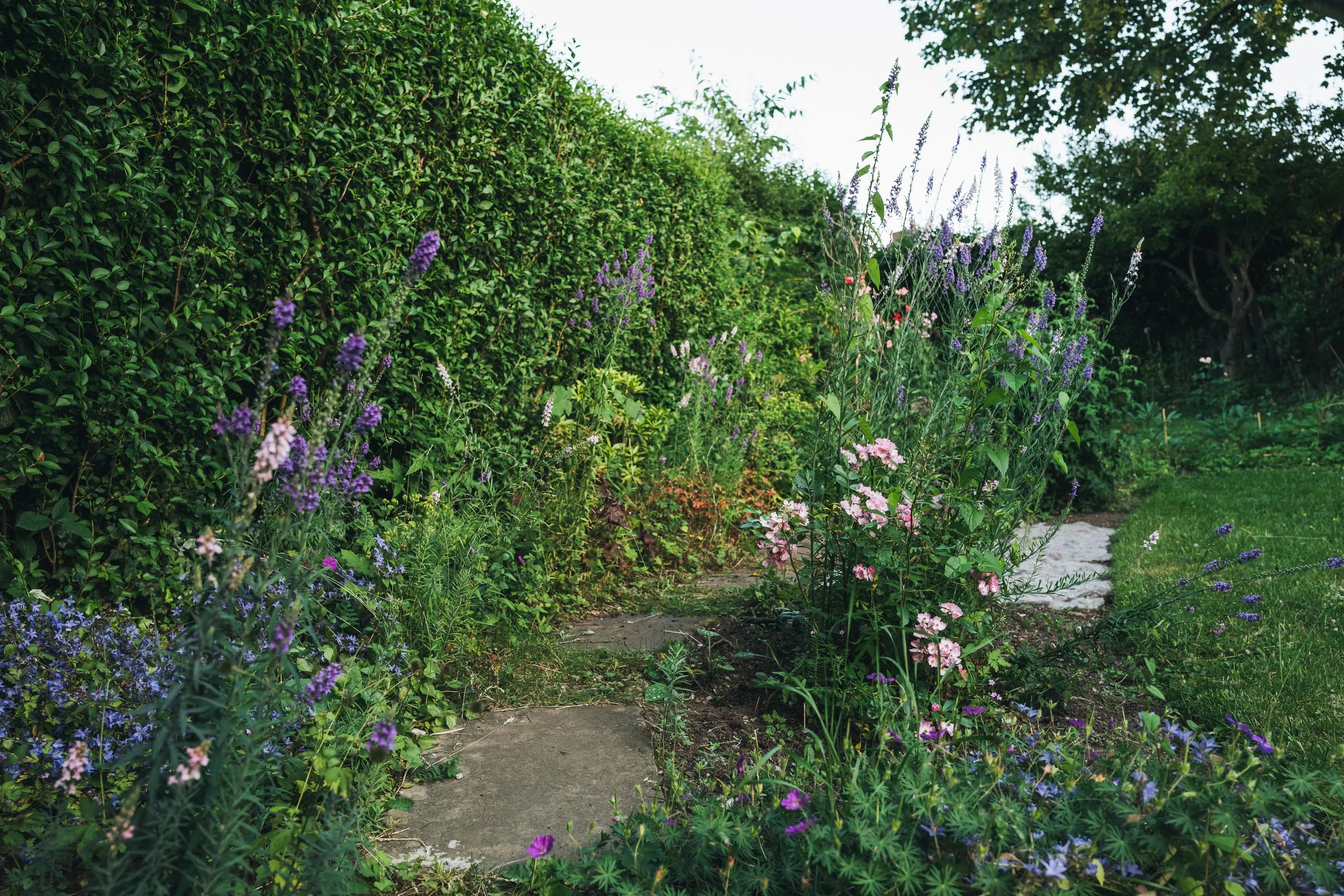 Our Garden-22.jpg