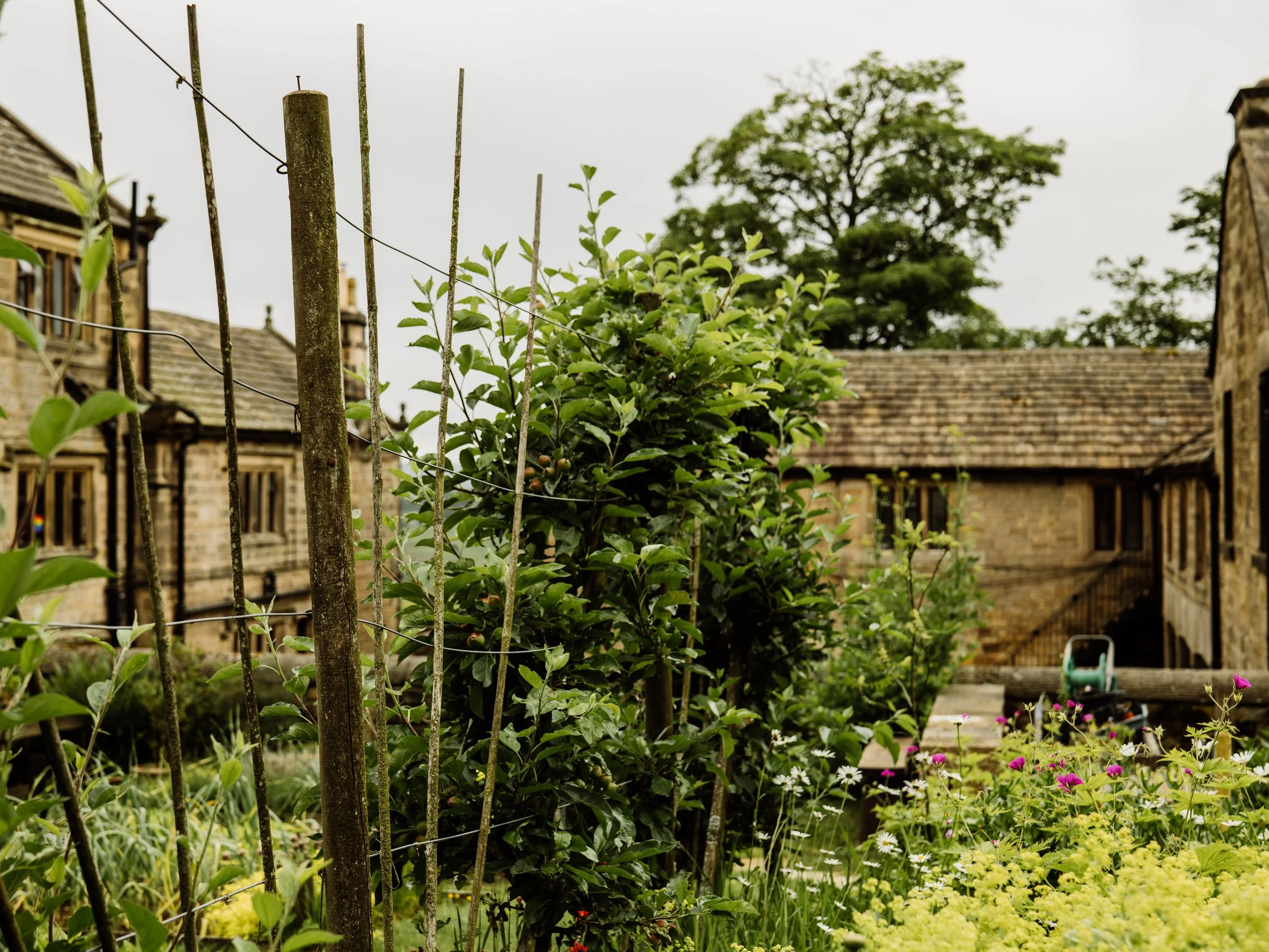 Longshaw-15.jpg