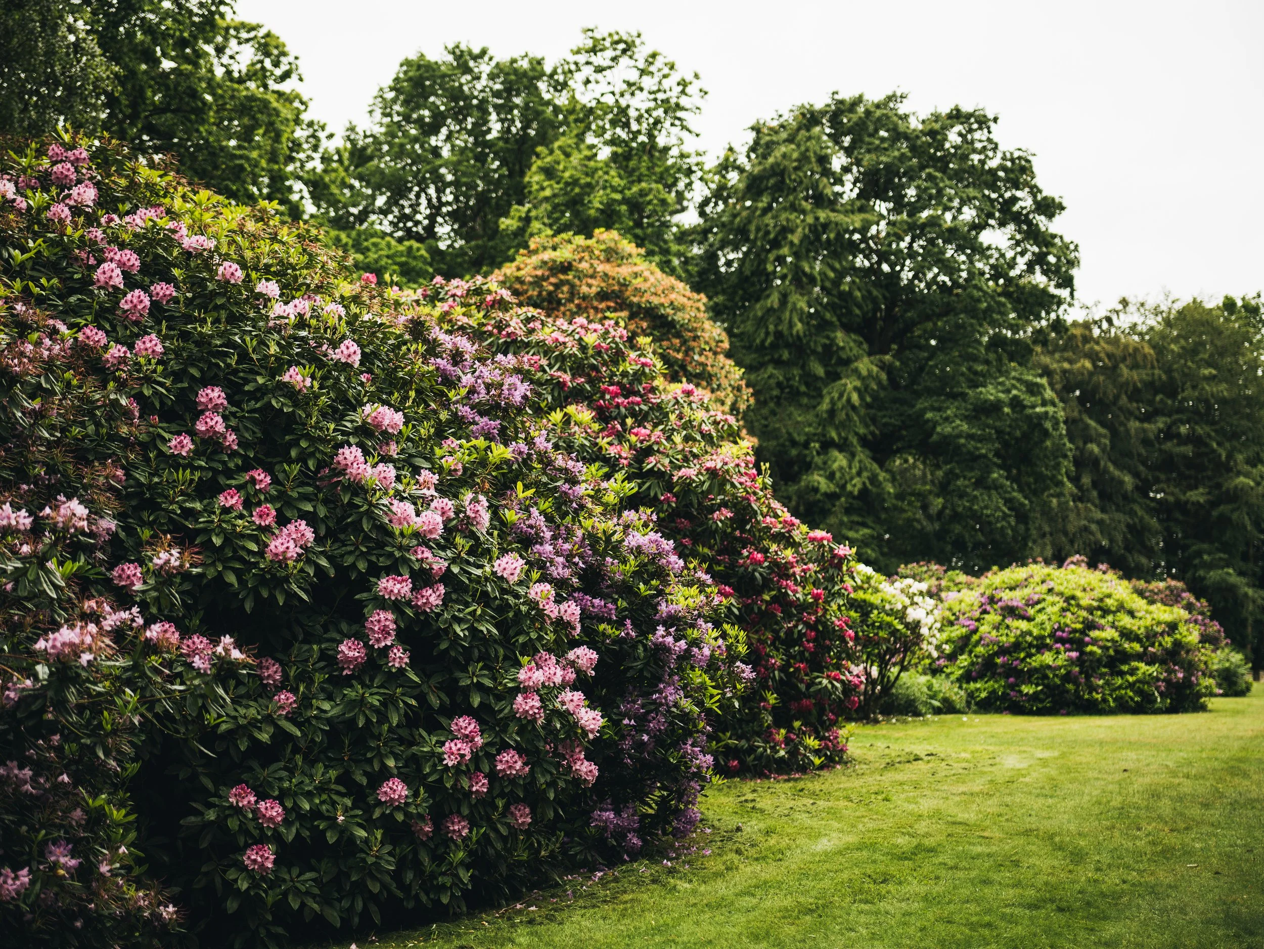 Wentworth Castle Gardens-37.jpg