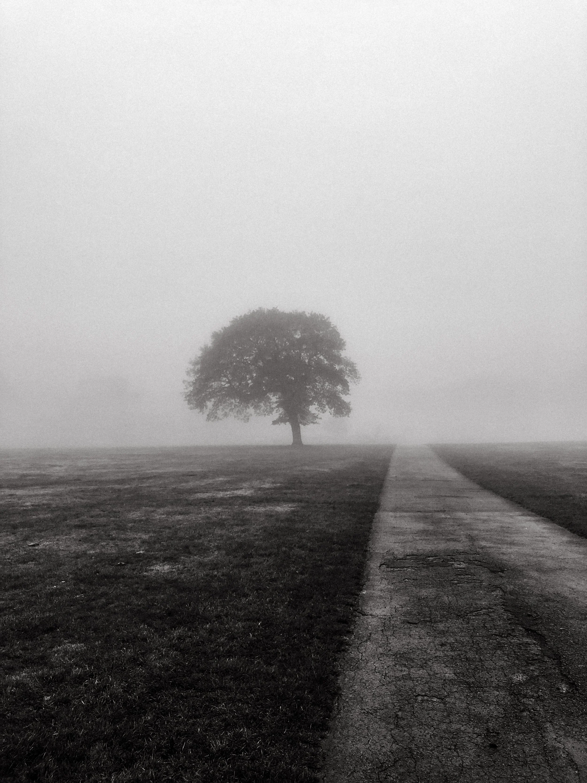 Outline of Nature-9.jpg