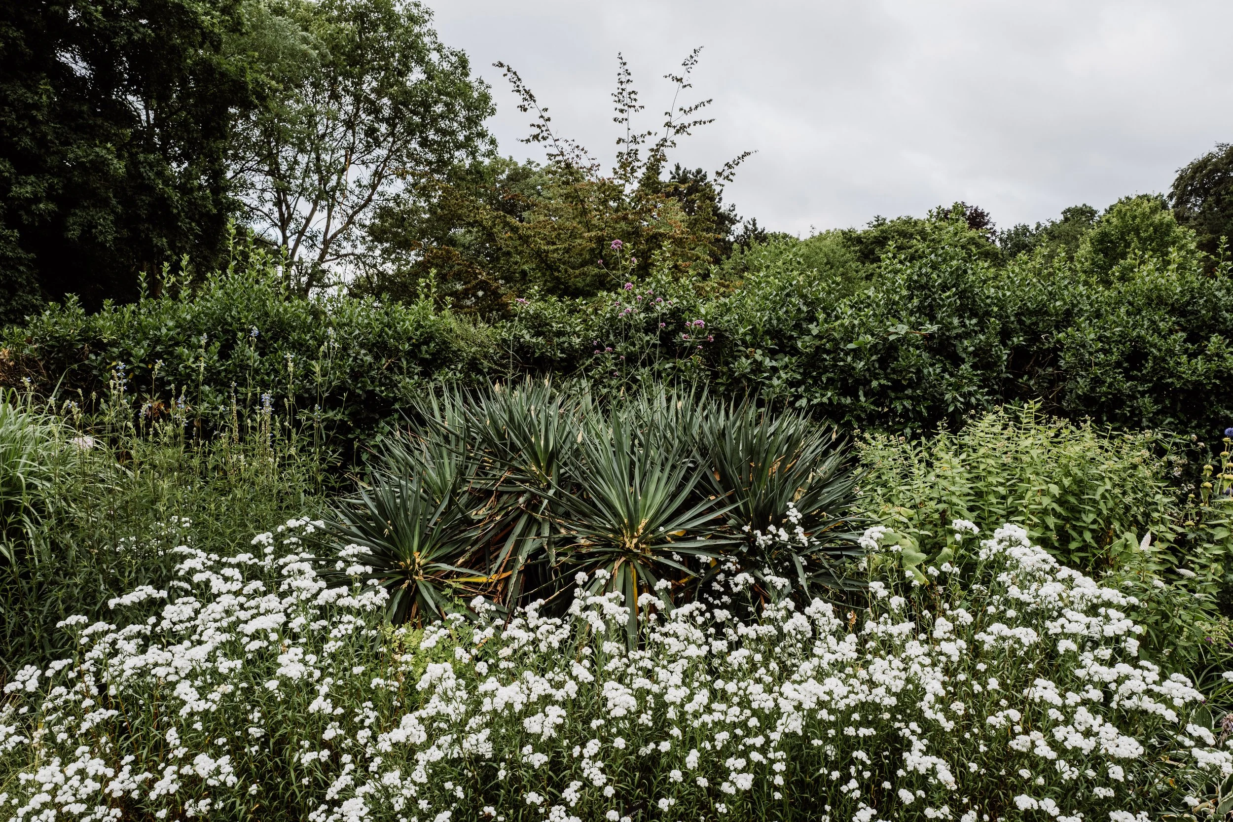 Botanical-18.jpg