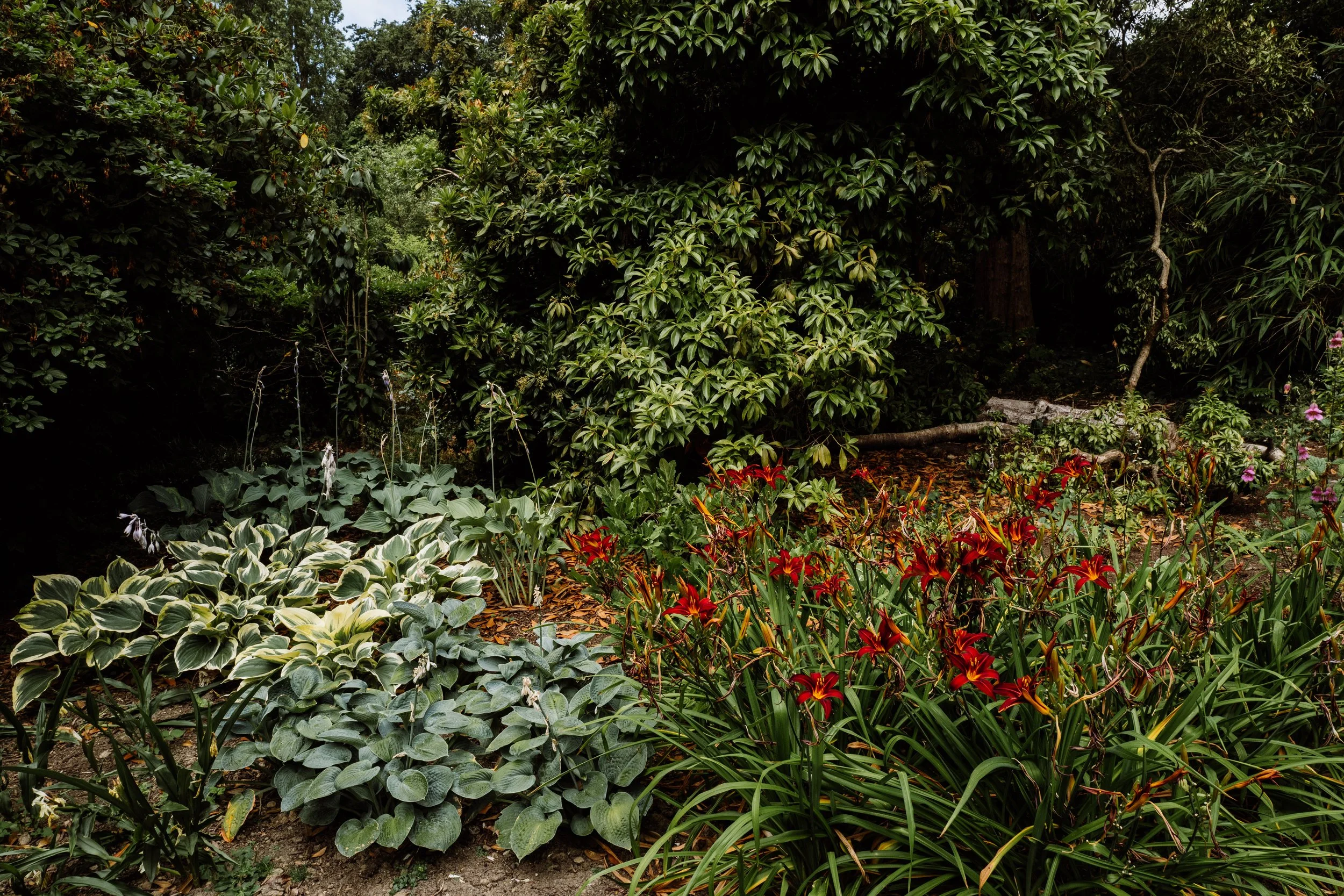 Botanical-104.jpg