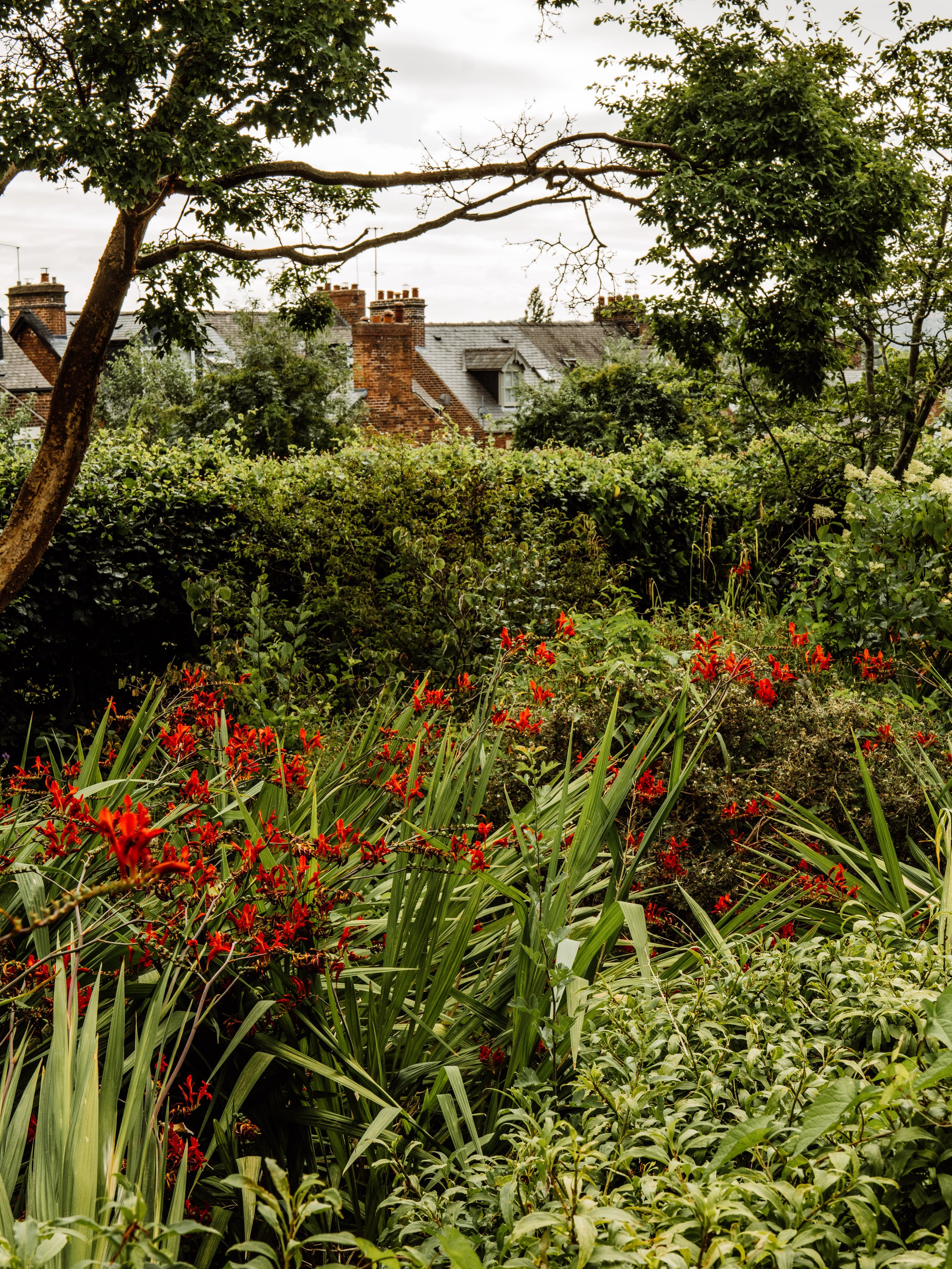 Botanical-68.jpg