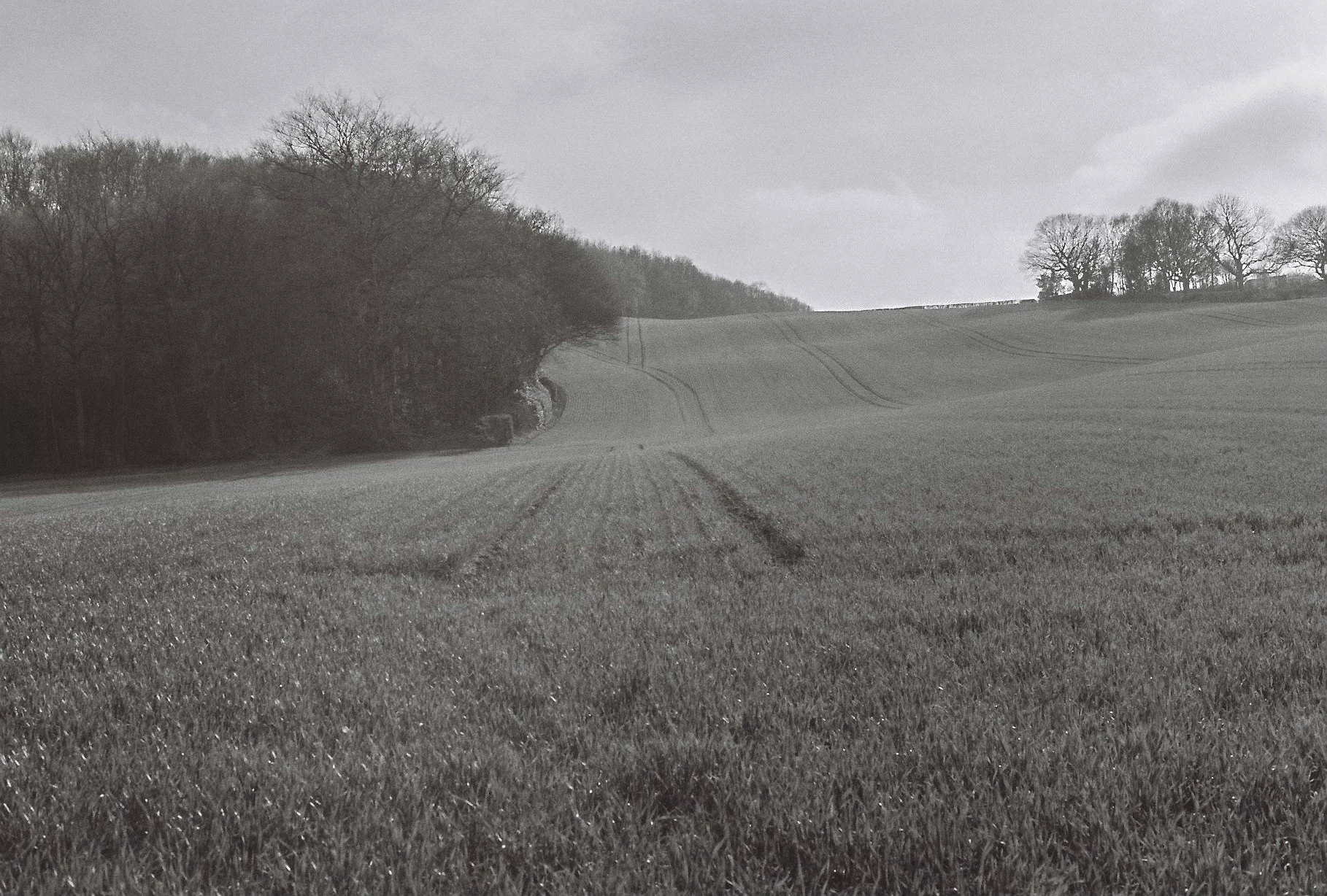 Walking Additional-12.jpg