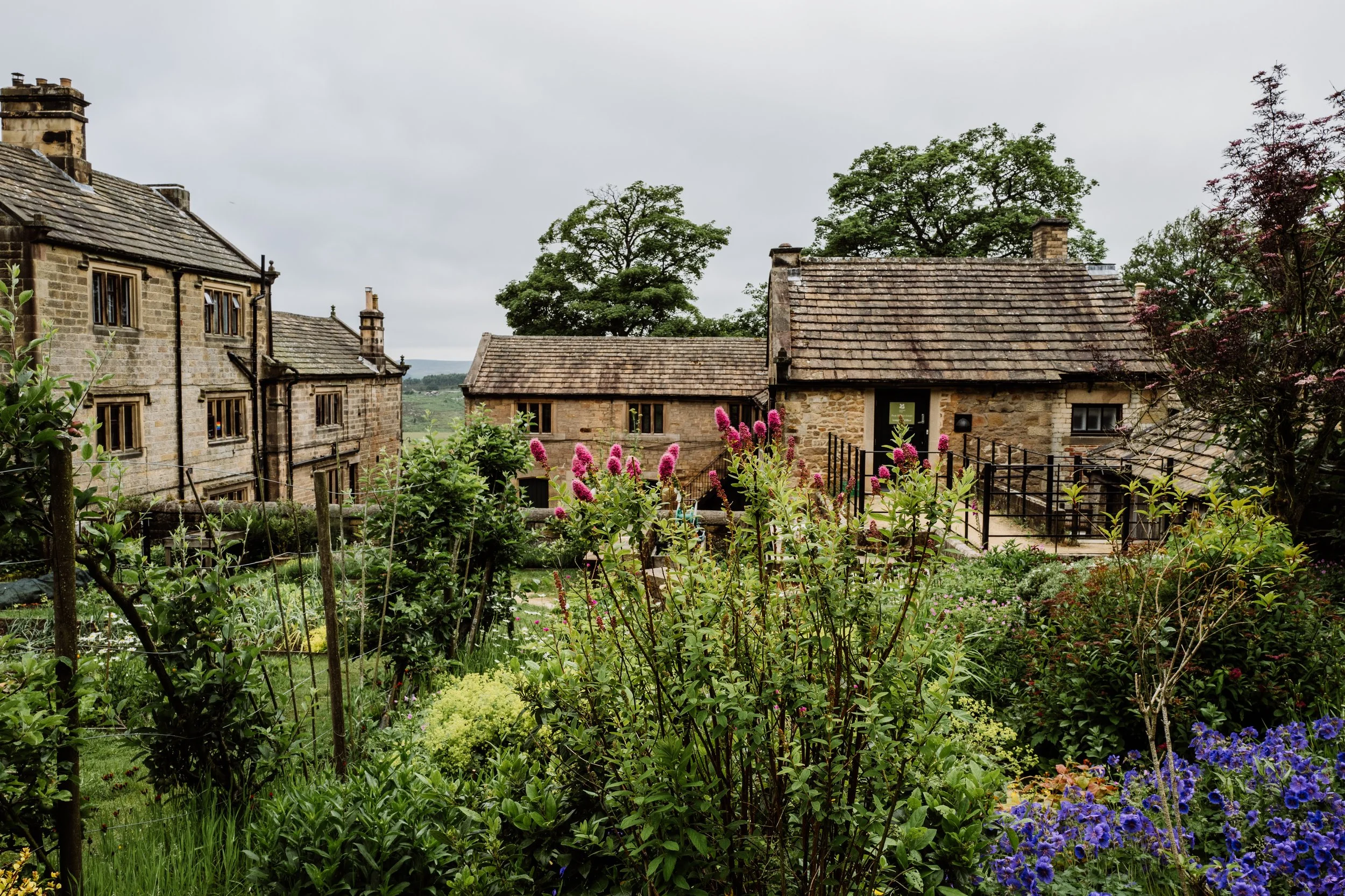 Longshaw Kitchen Garden