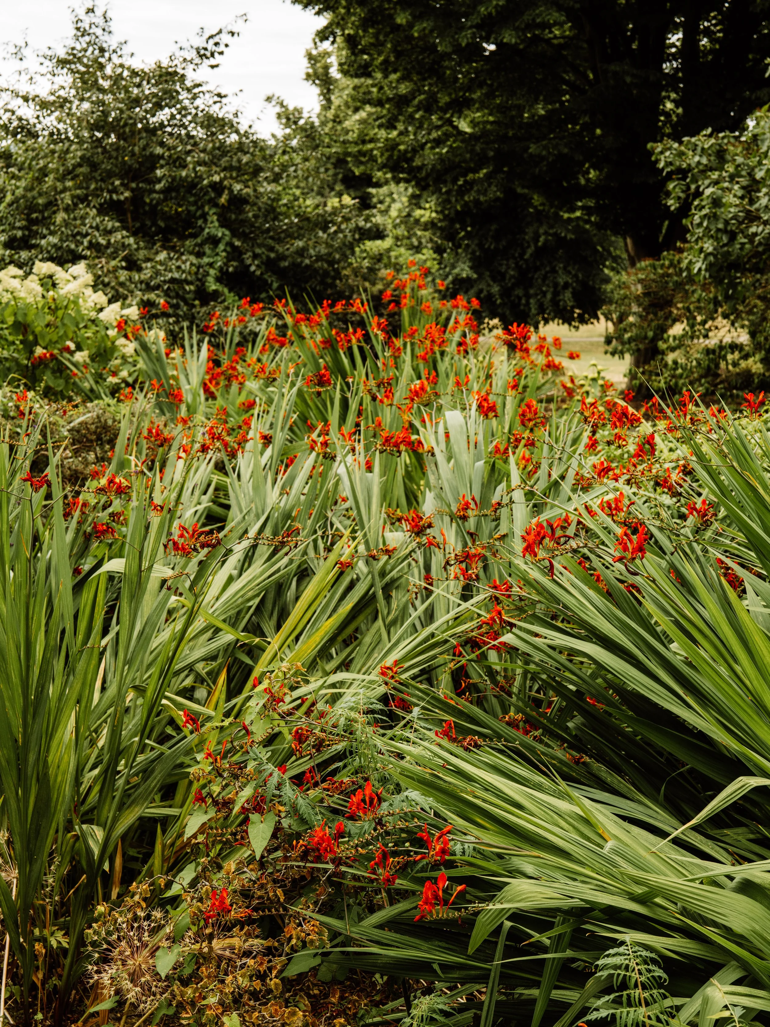 Botanical-67.jpg