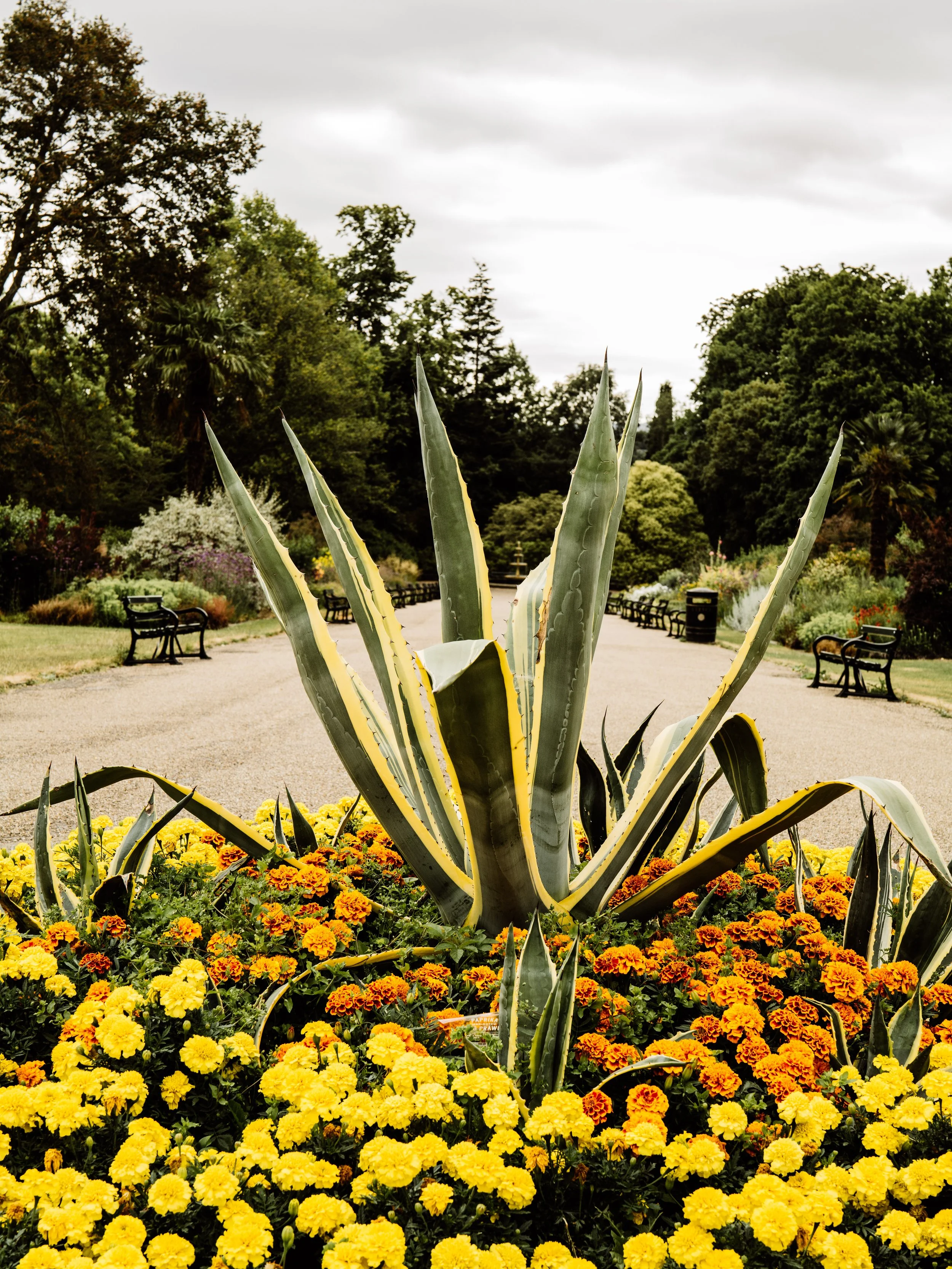 Botanical-15.jpg
