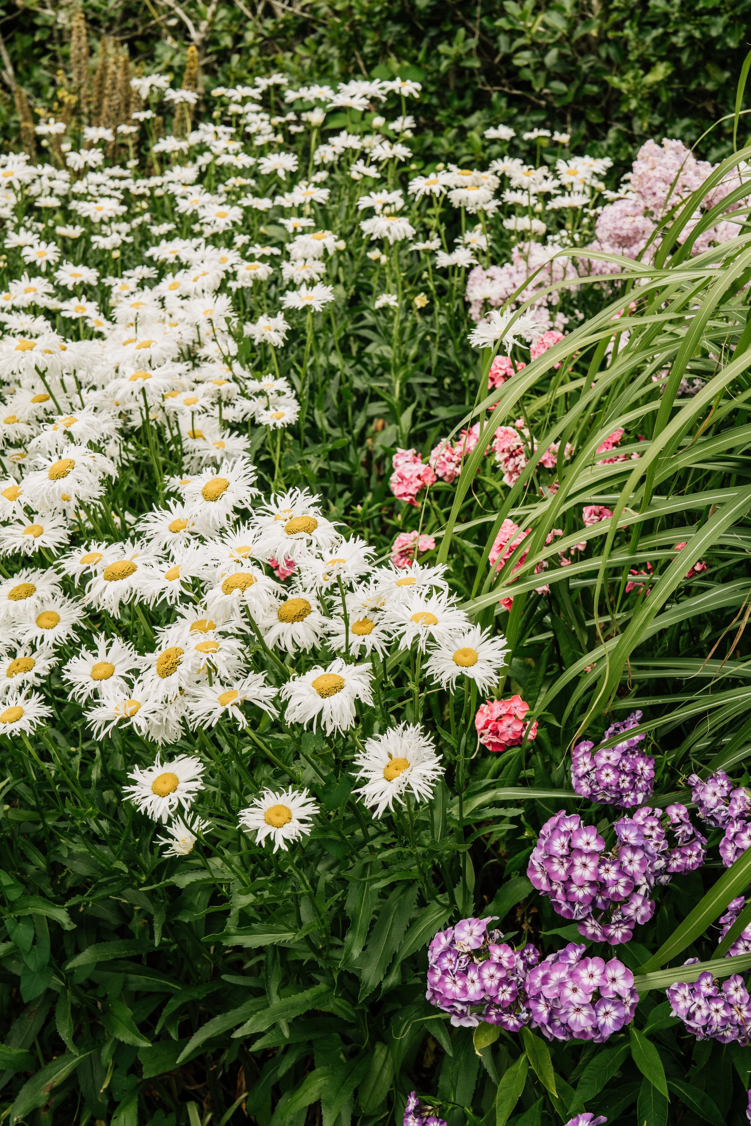 Botanical-1.jpg