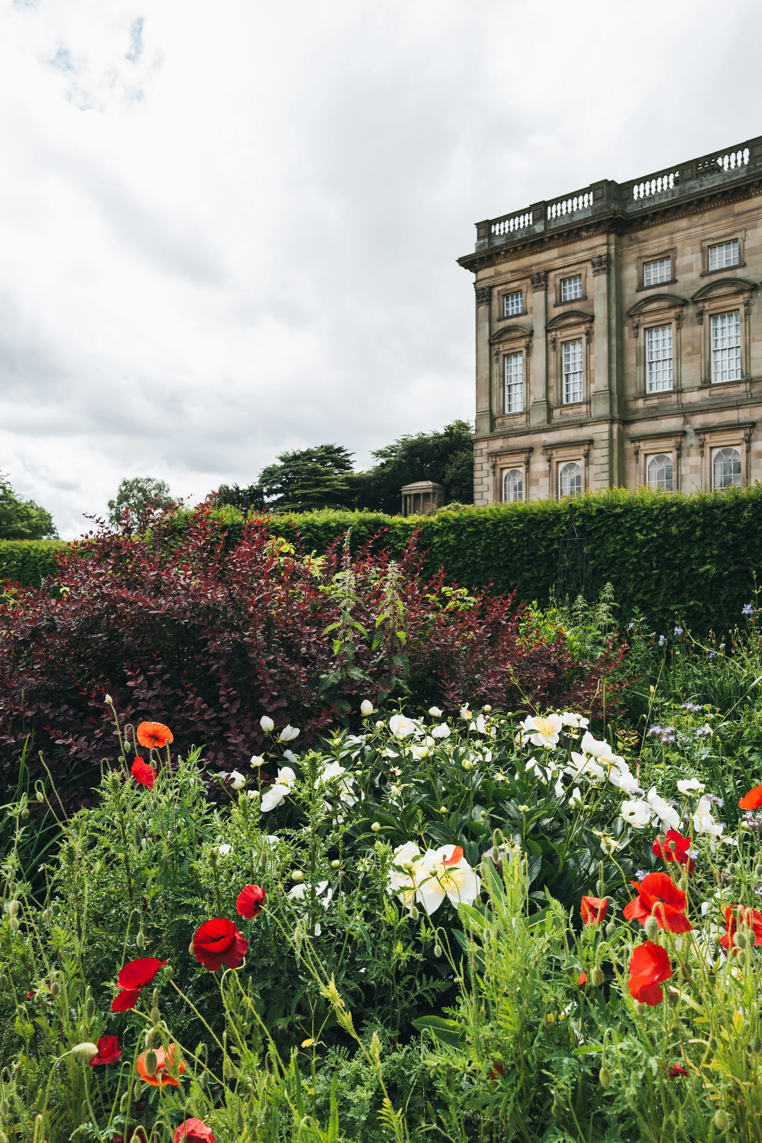 Wentworth Castle Gardens-142.jpg