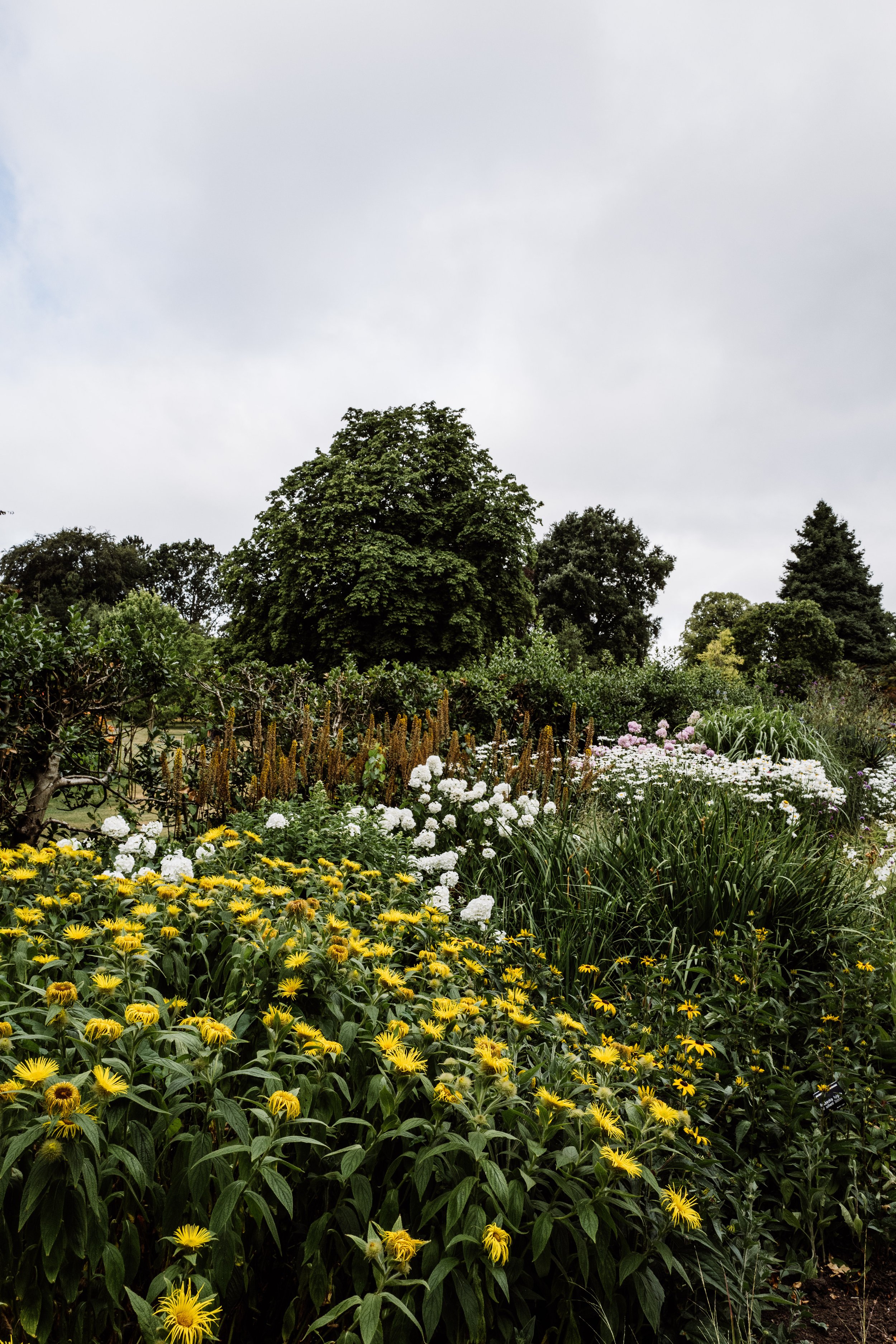 Botanical-13.jpg