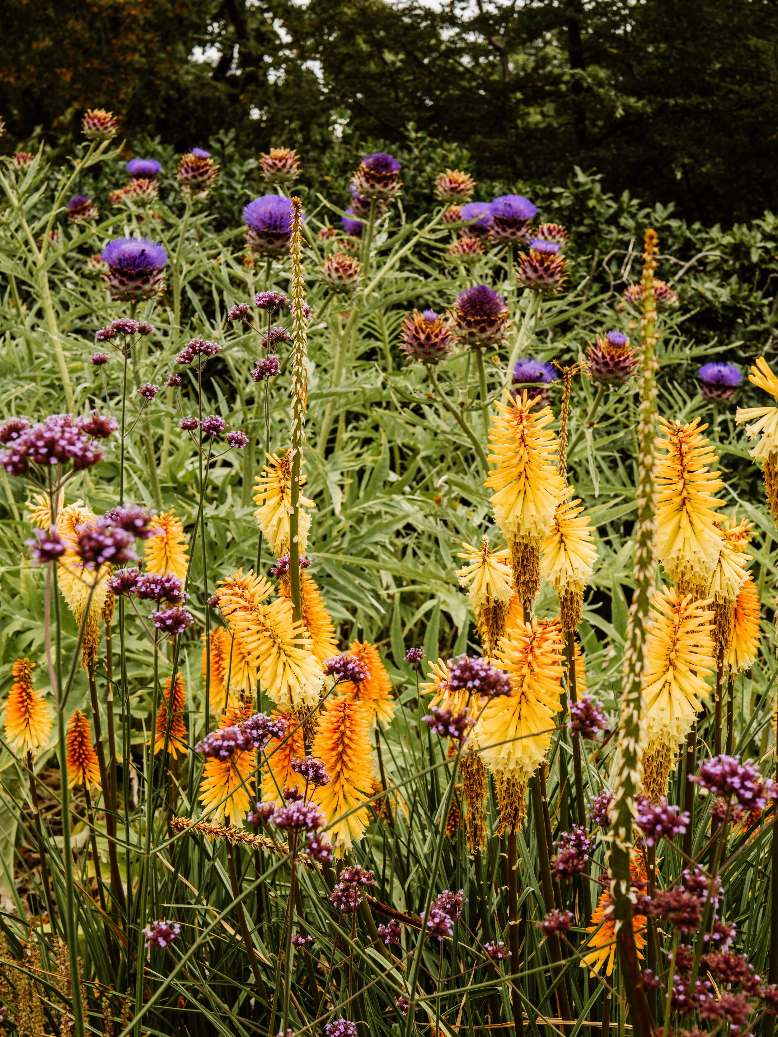Botanical-5.jpg