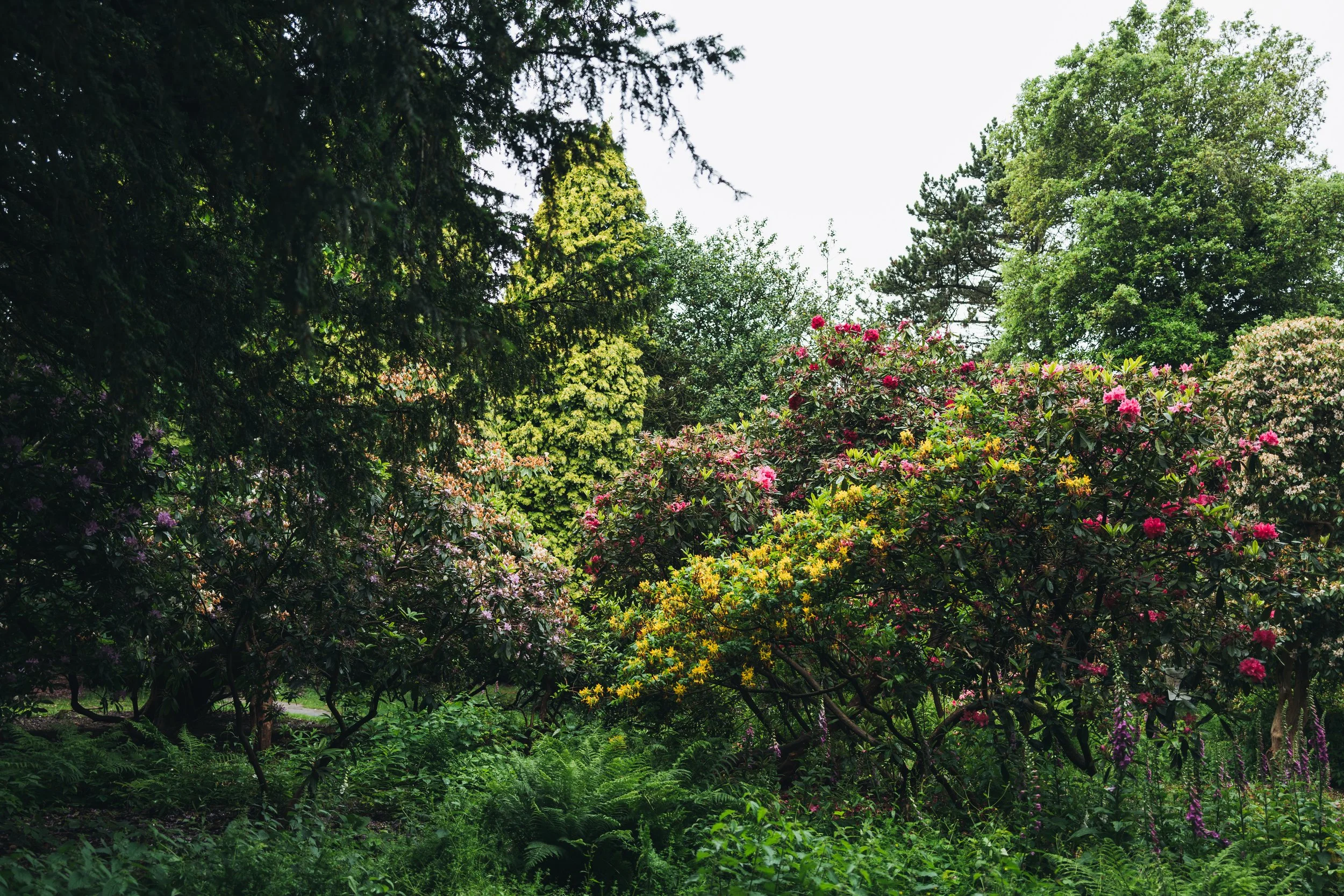 Wentworth Castle Gardens-42.jpg