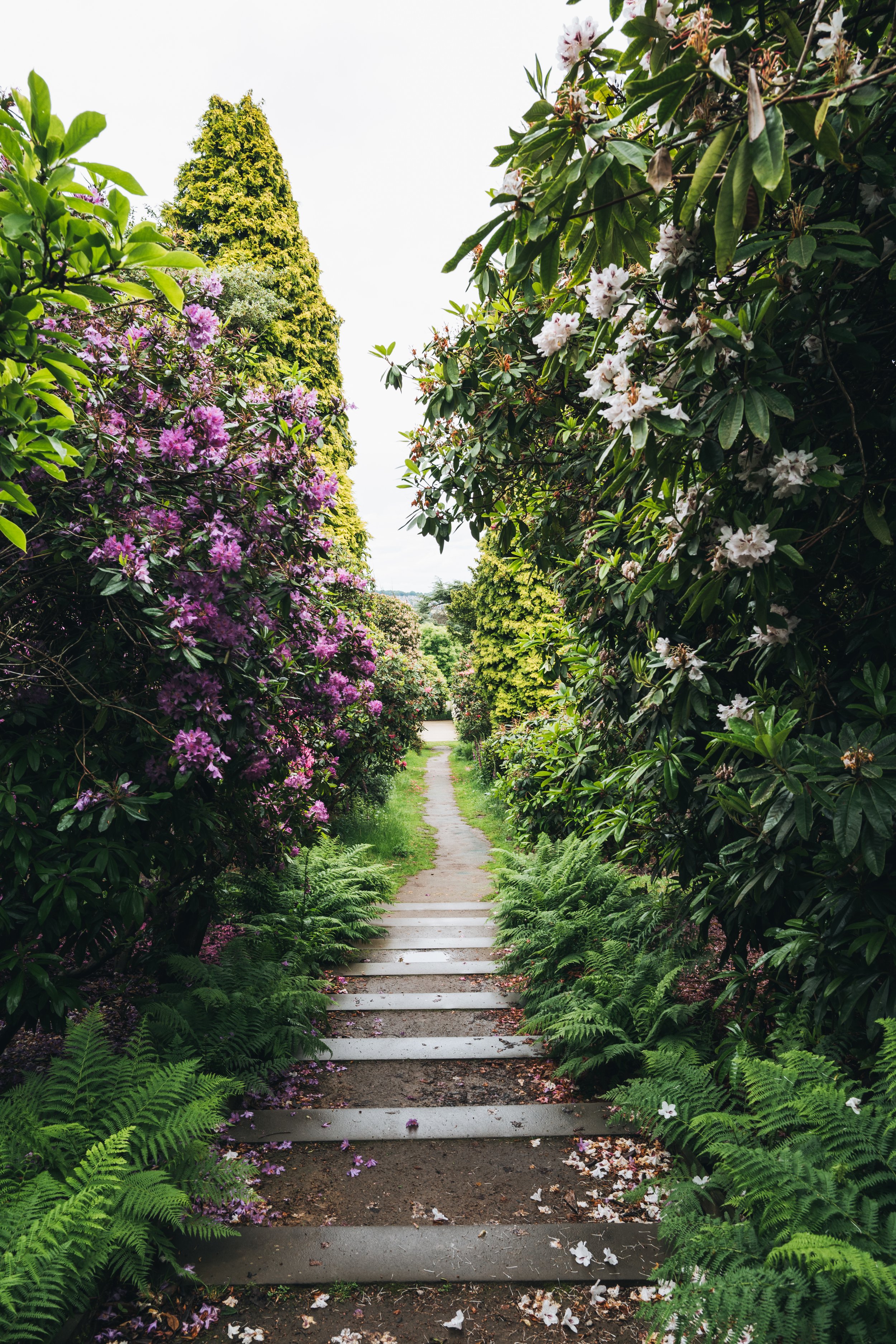 Wentworth Castle Gardens-86.jpg