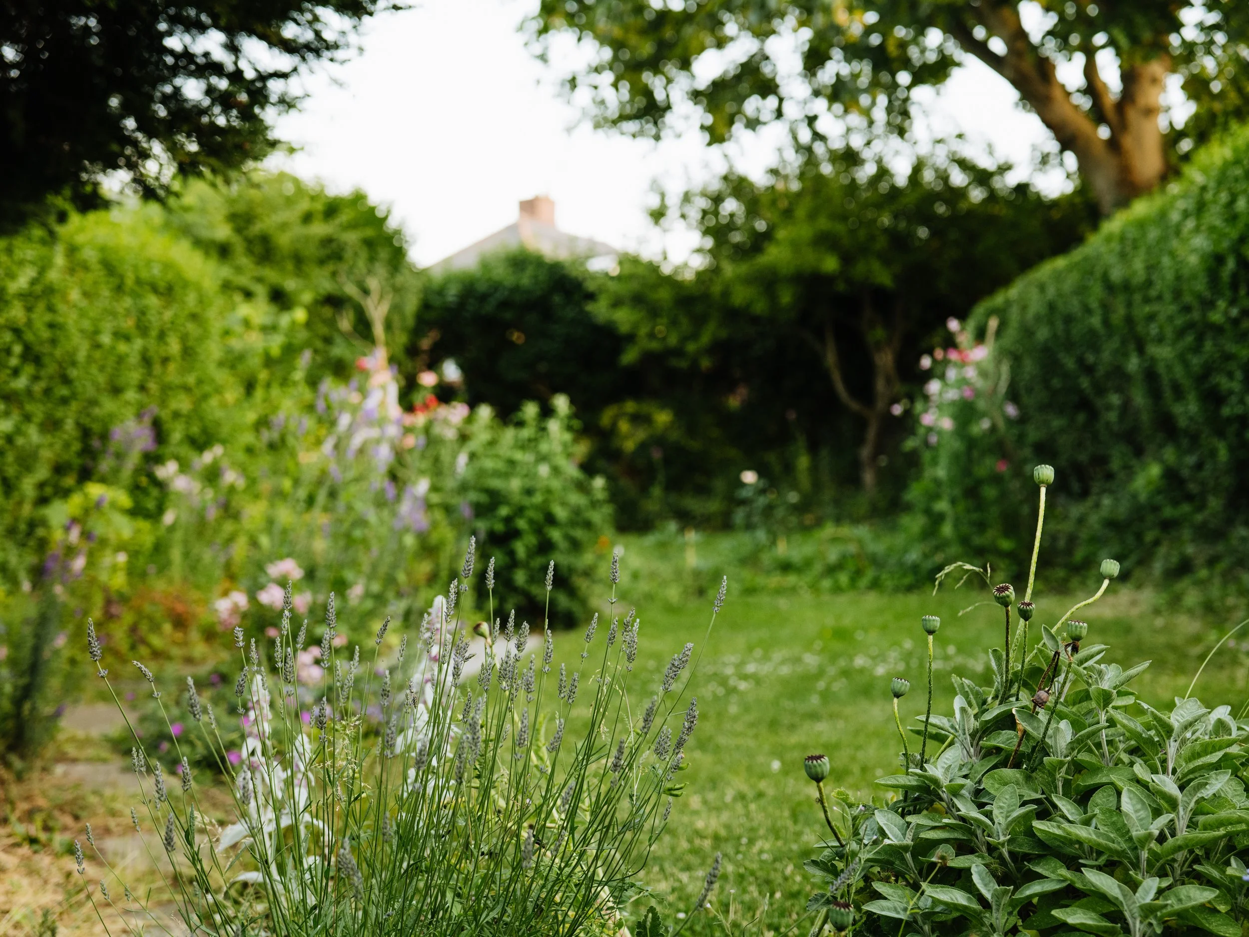 Our Garden-20.jpg