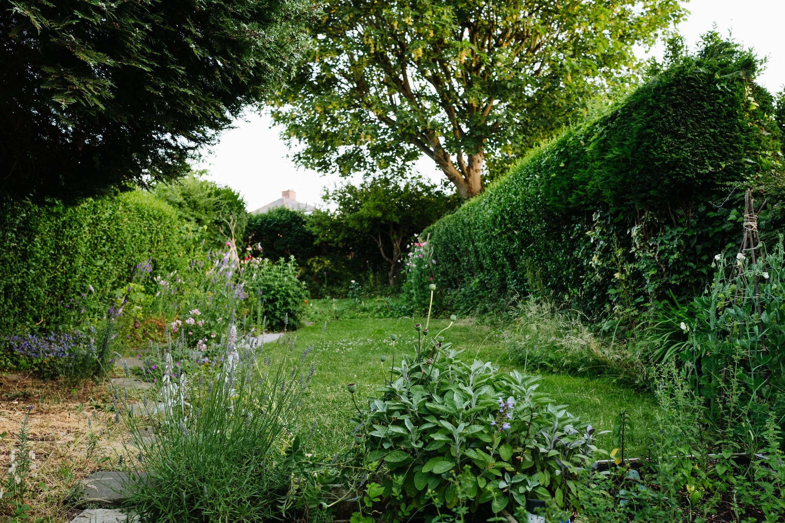 Our Garden-18.jpg