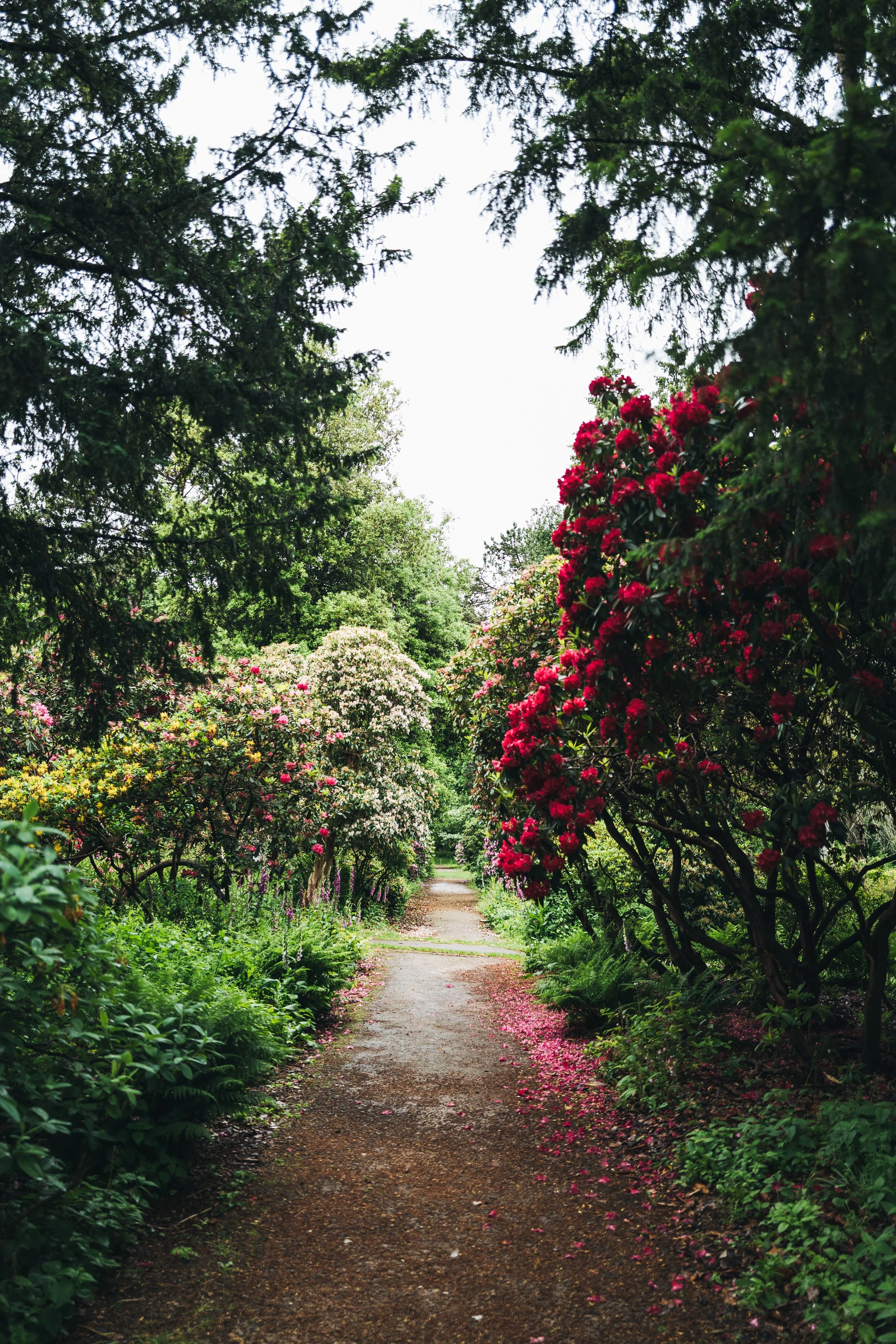 Wentworth Castle Gardens-40.jpg