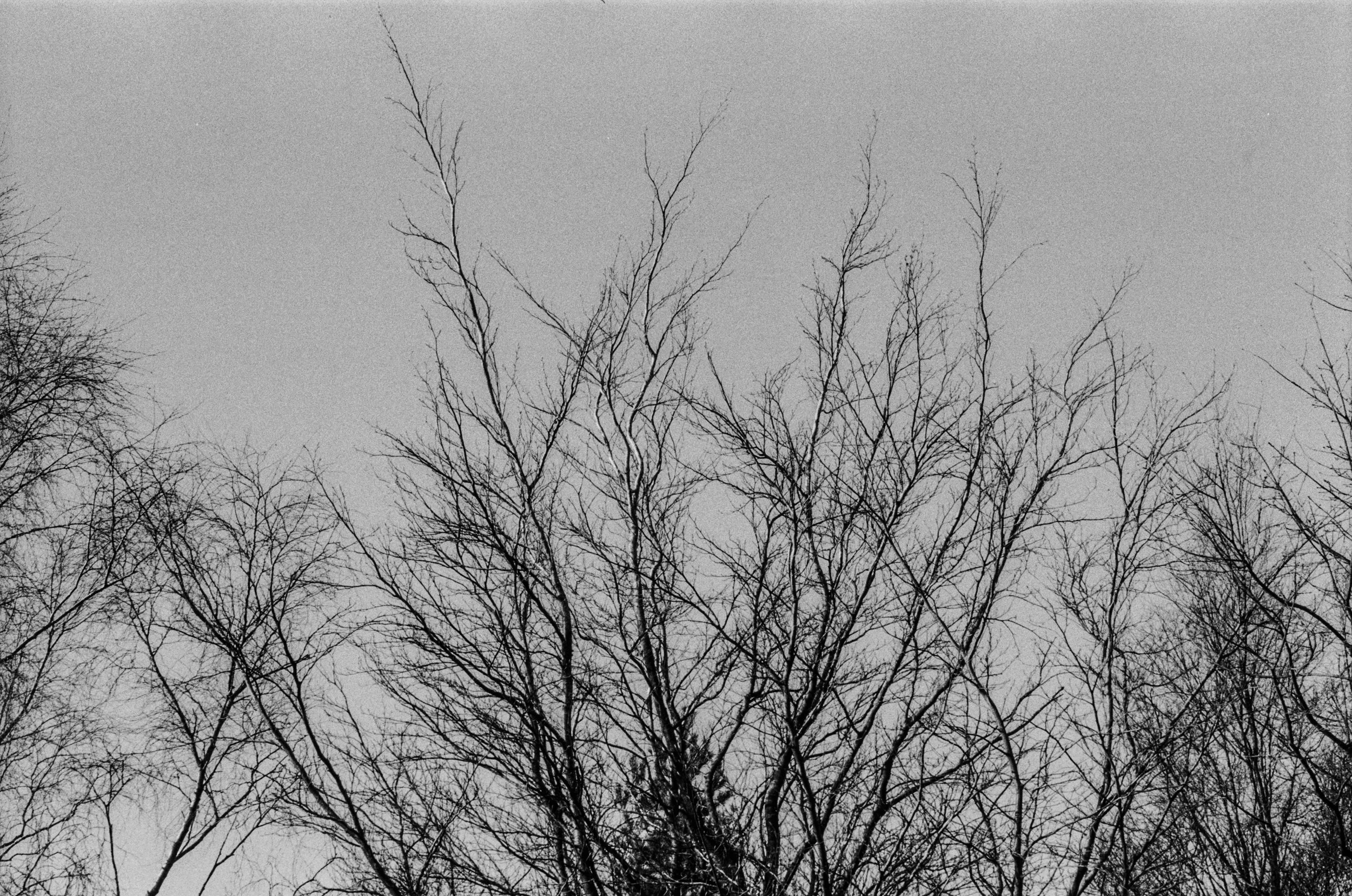 Walking-12.jpg