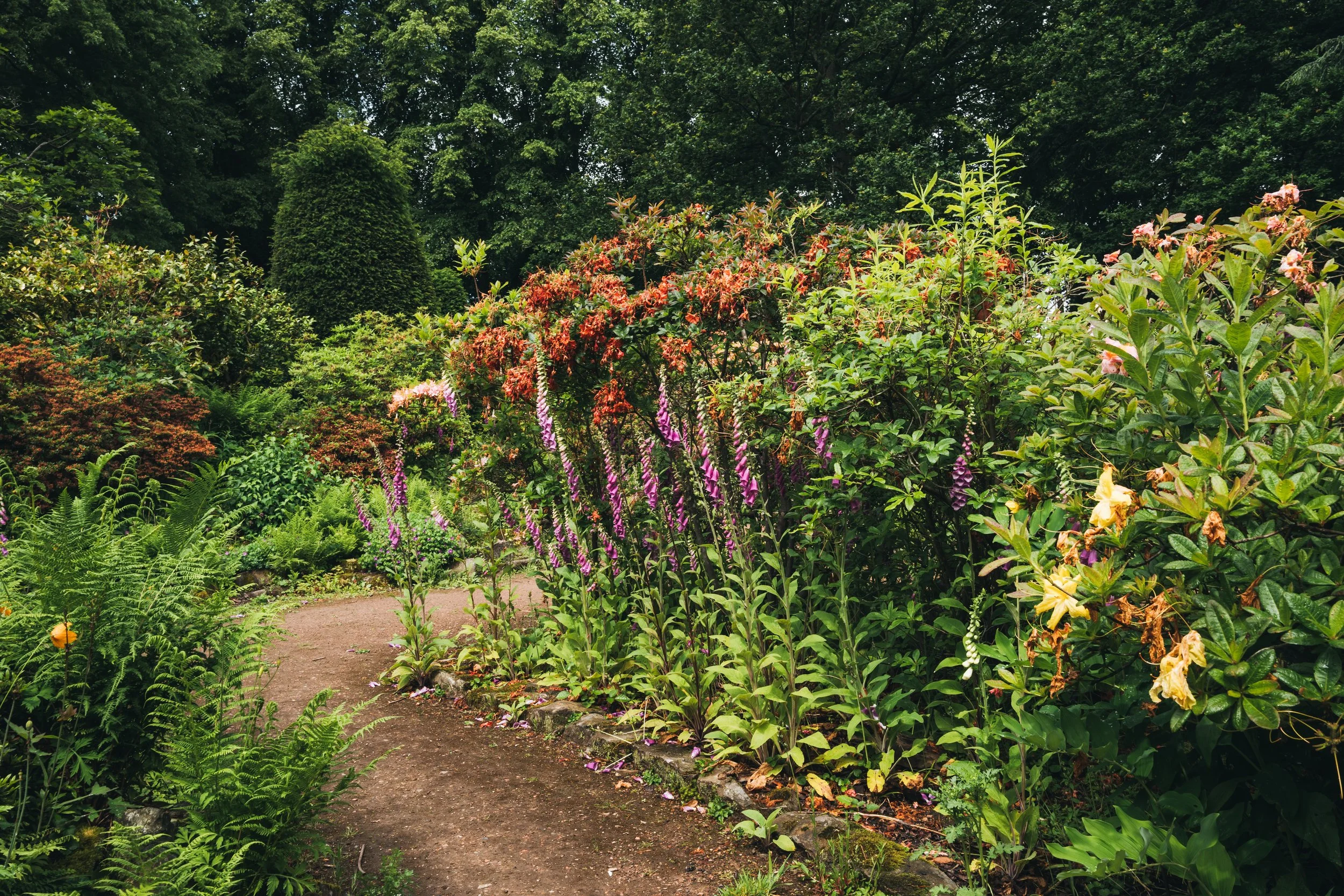 Wentworth Castle Gardens-110.jpg