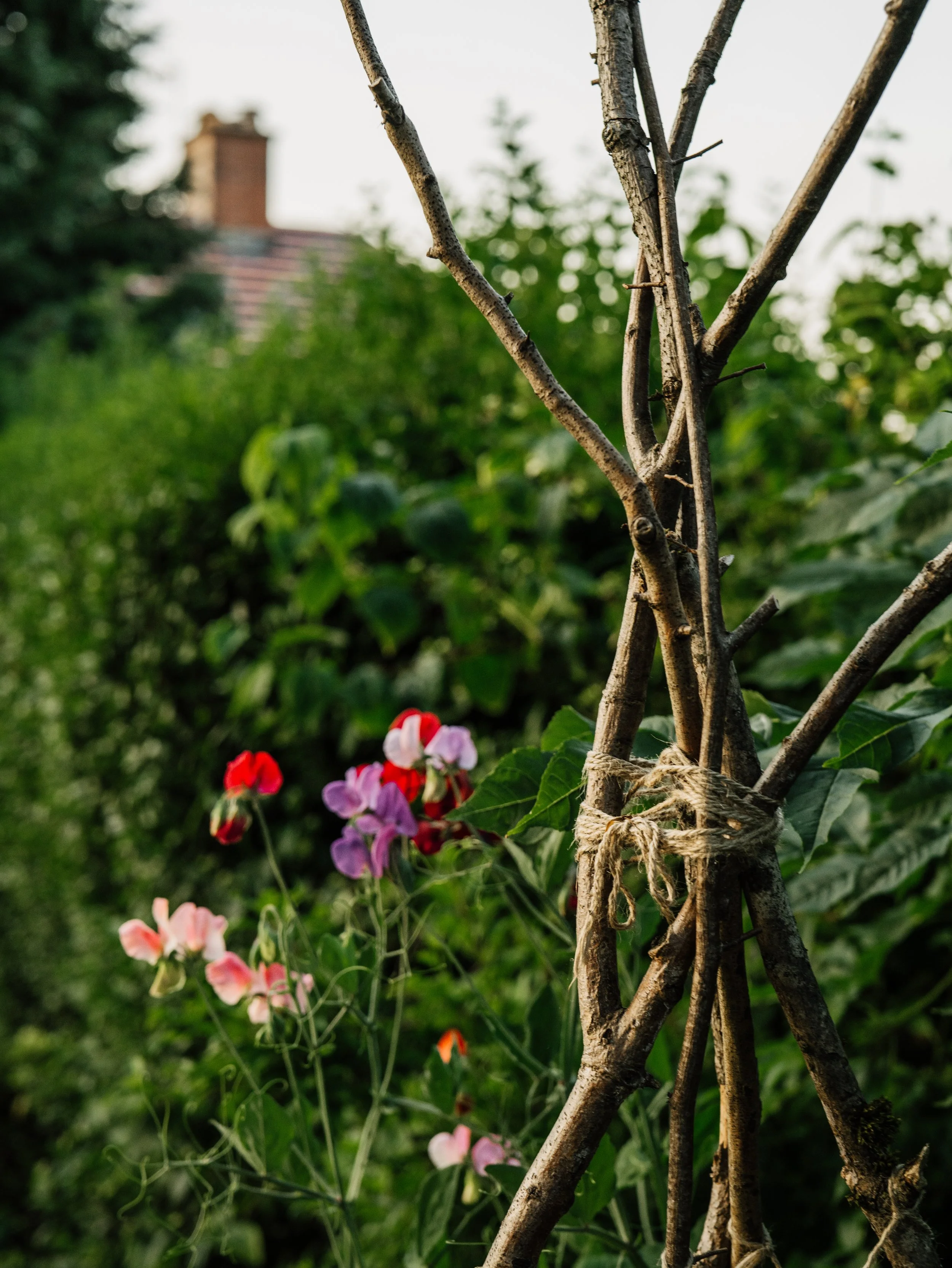 Our Garden-31.jpg