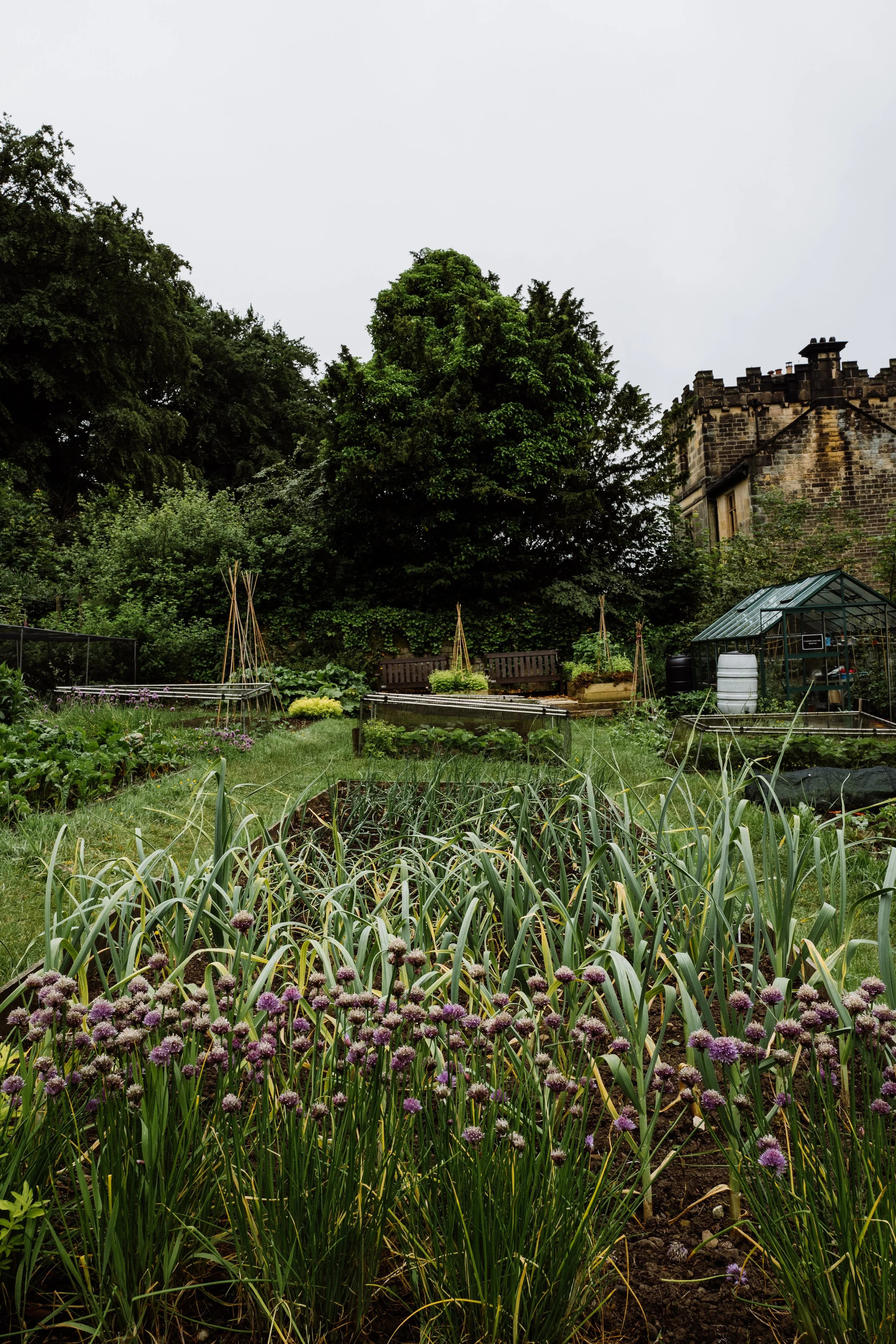 Longshaw-16.jpg