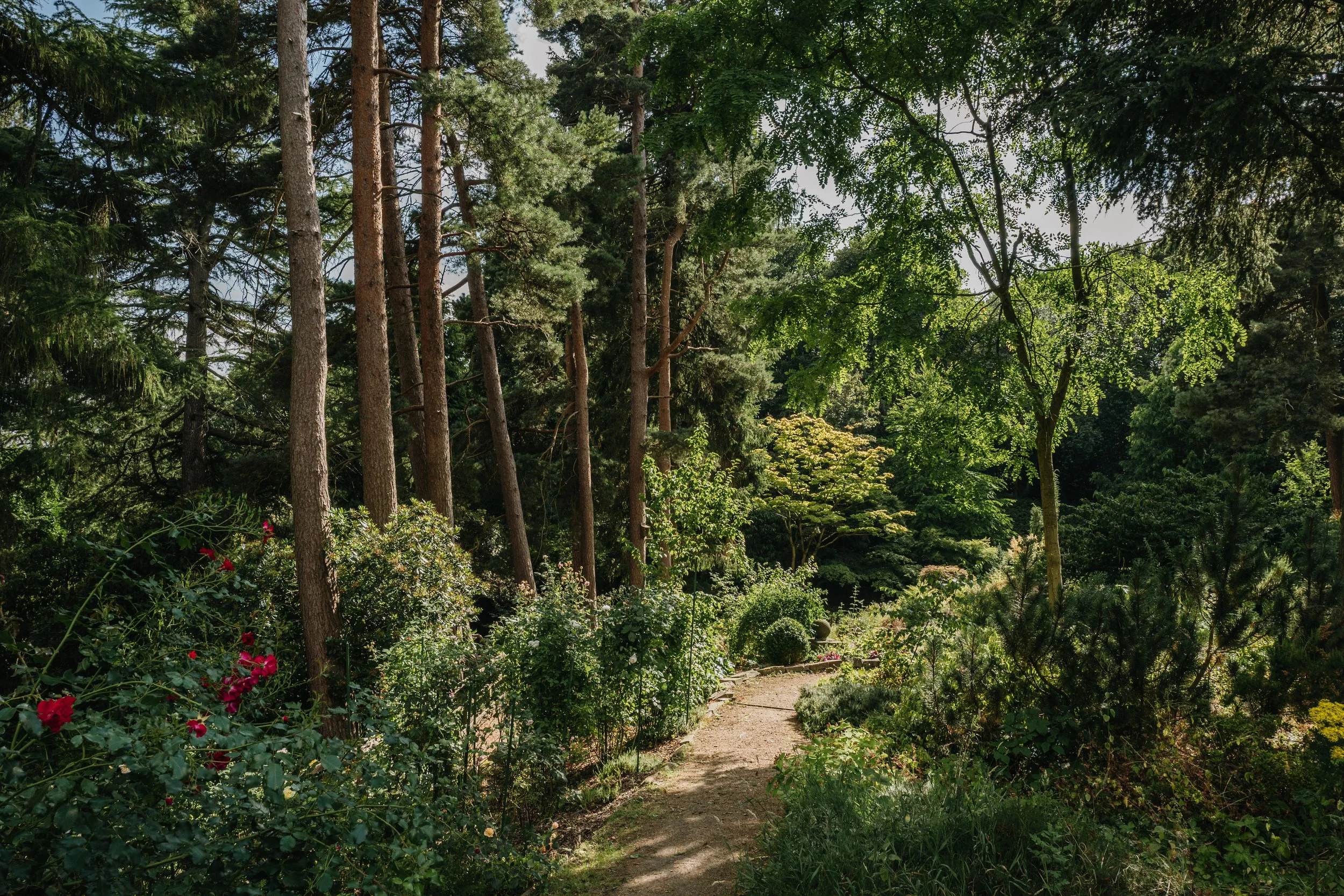 Whinfell Quarry Gardens