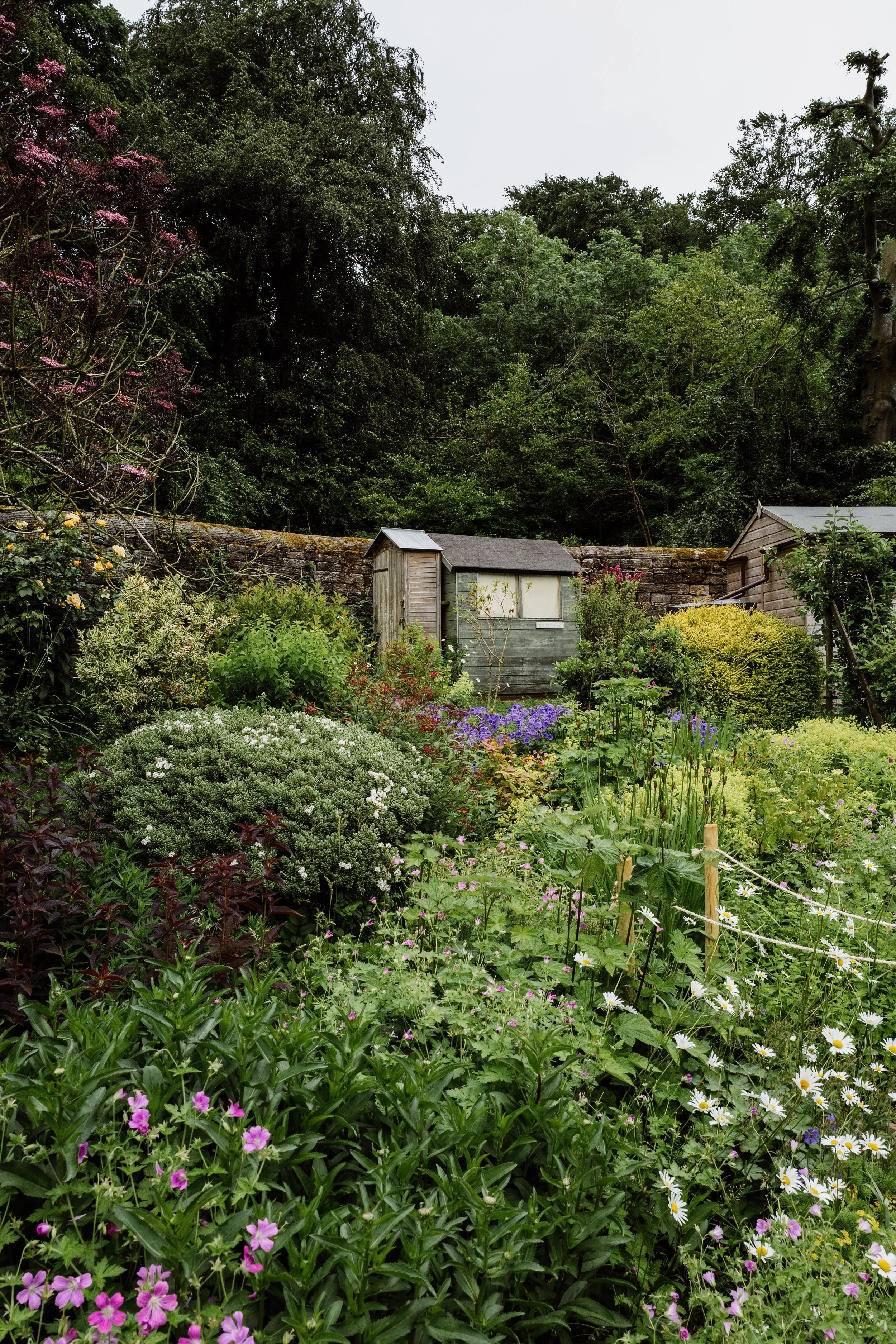 Longshaw-5.jpg
