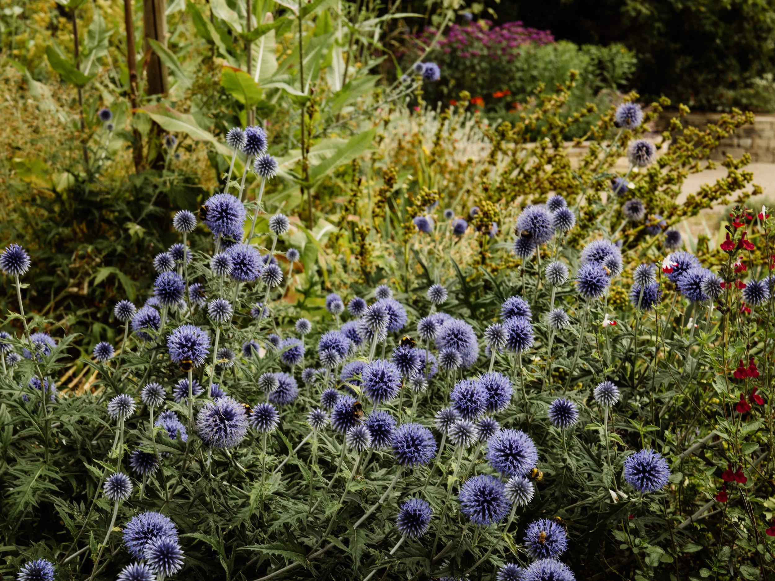 Botanical-66.jpg