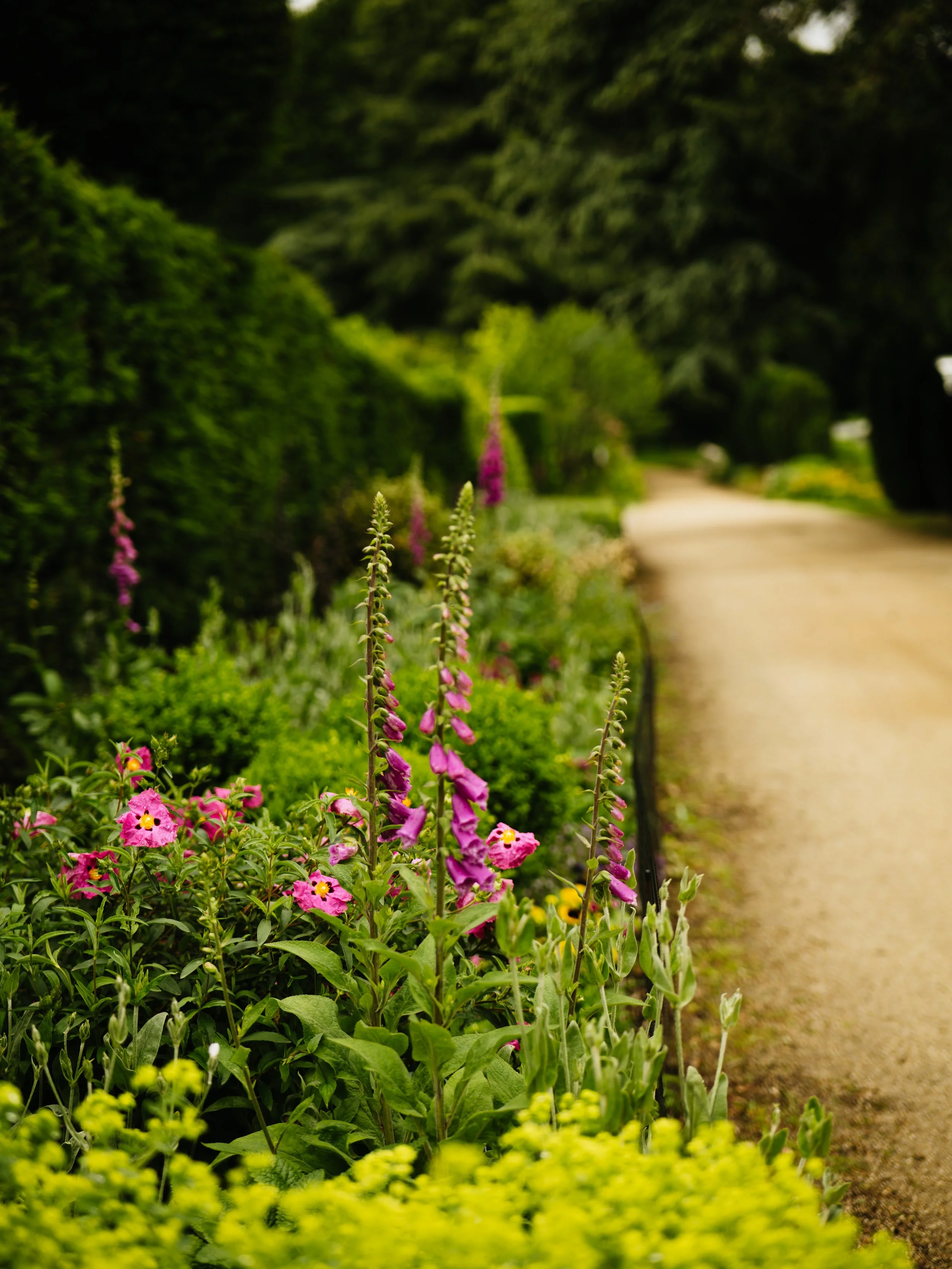 Wentworth Castle Gardens-22.jpg