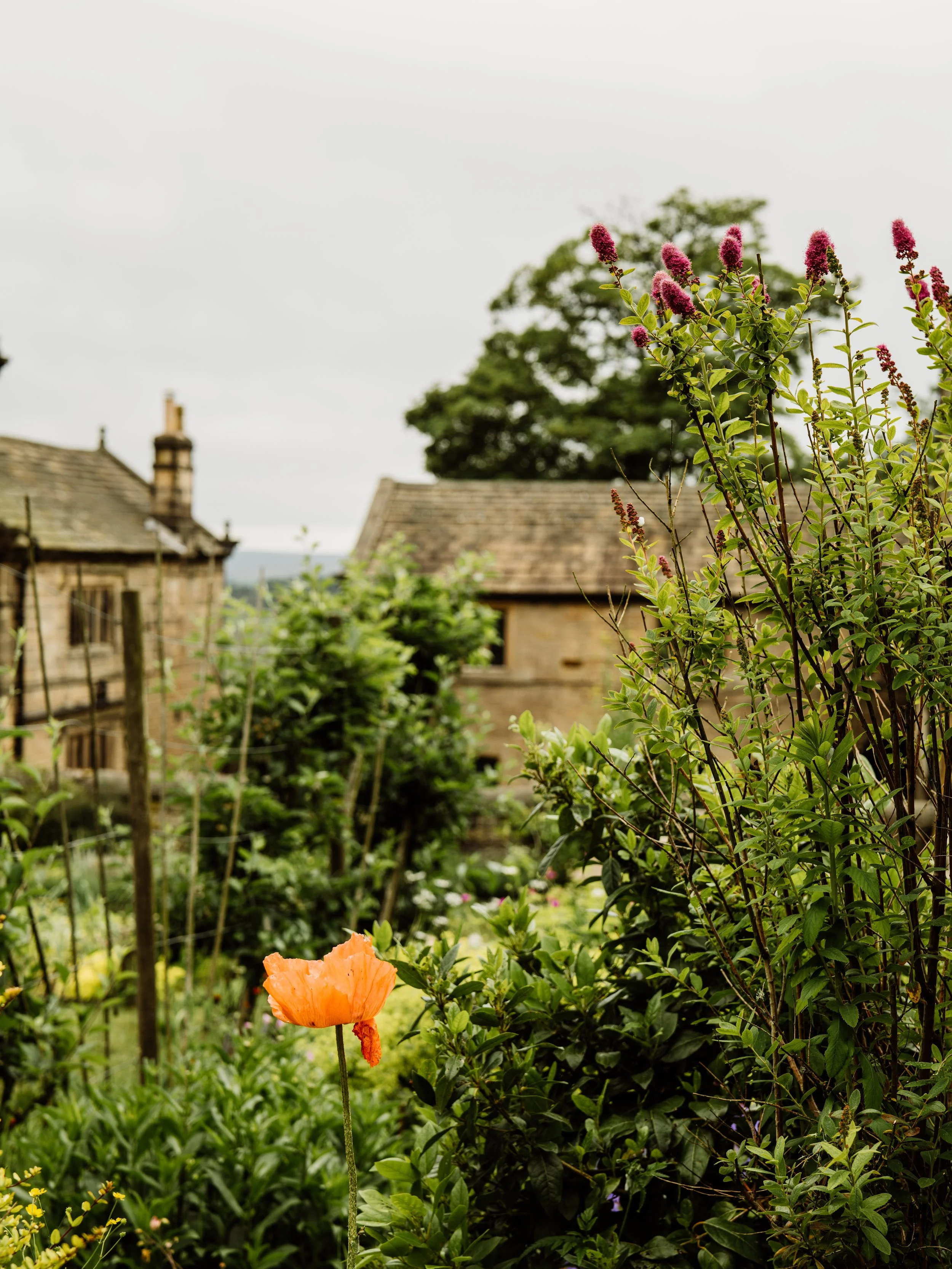 Longshaw-17.jpg