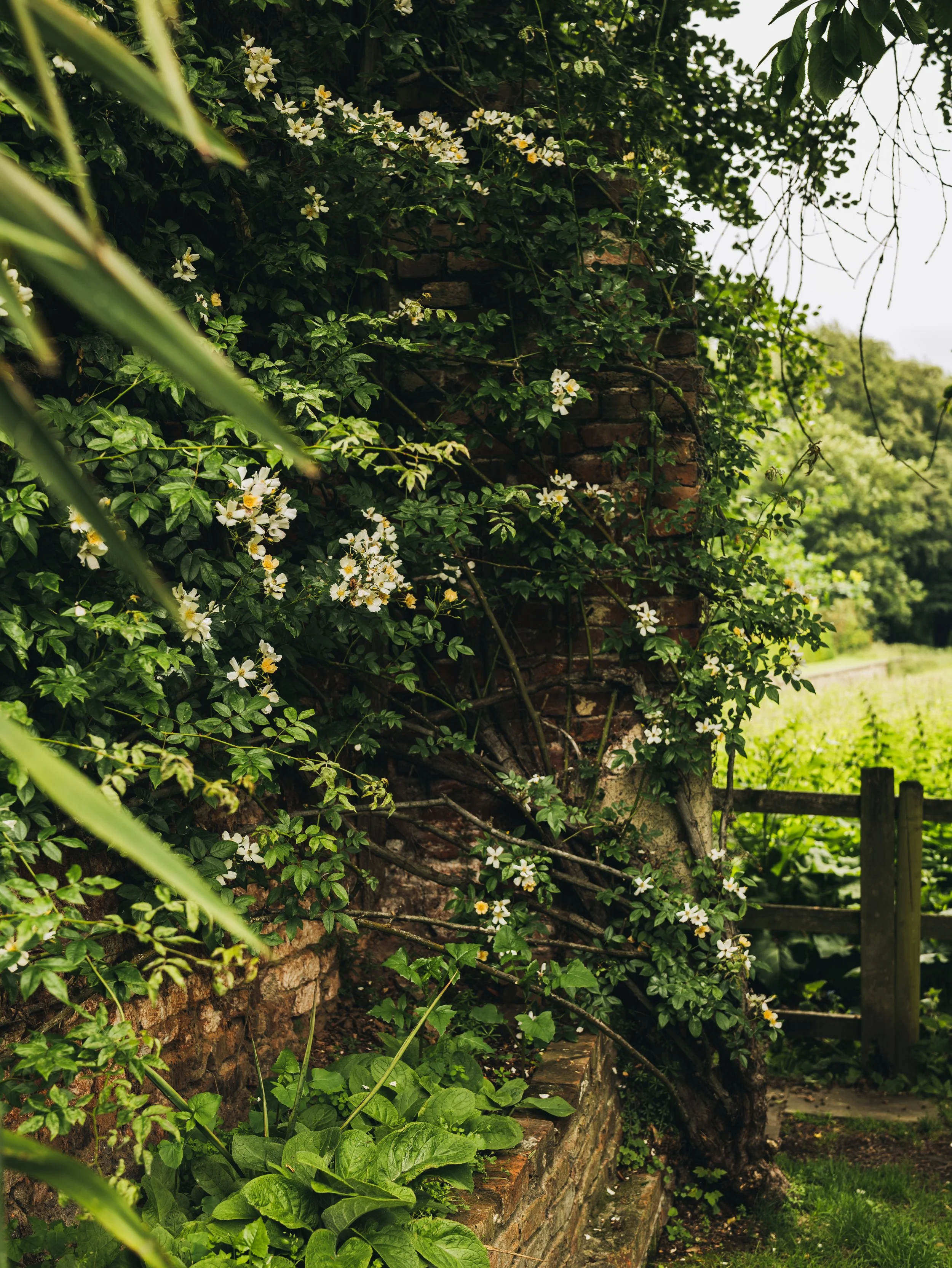 Renishaw Gardens 2-53.jpg
