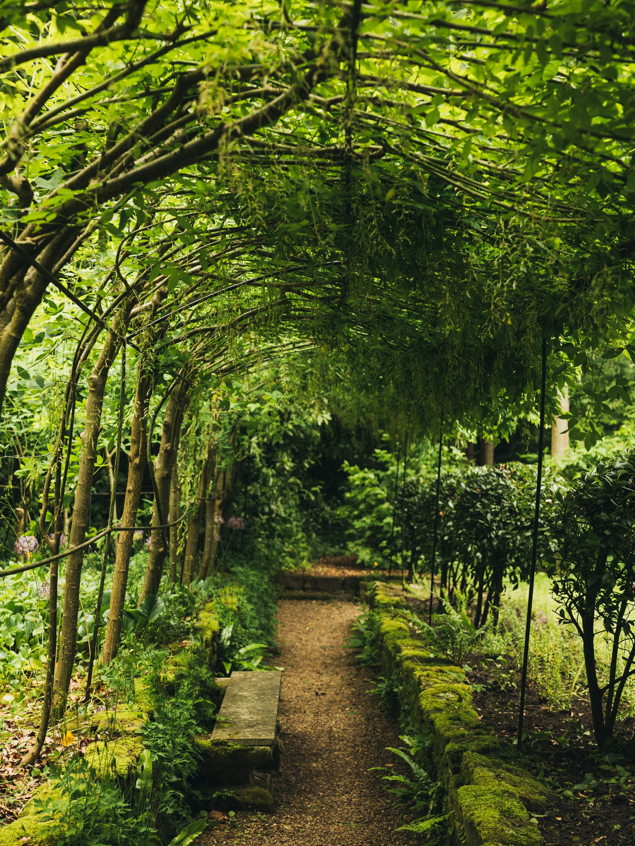 Renishaw Gardens 2-48.jpg
