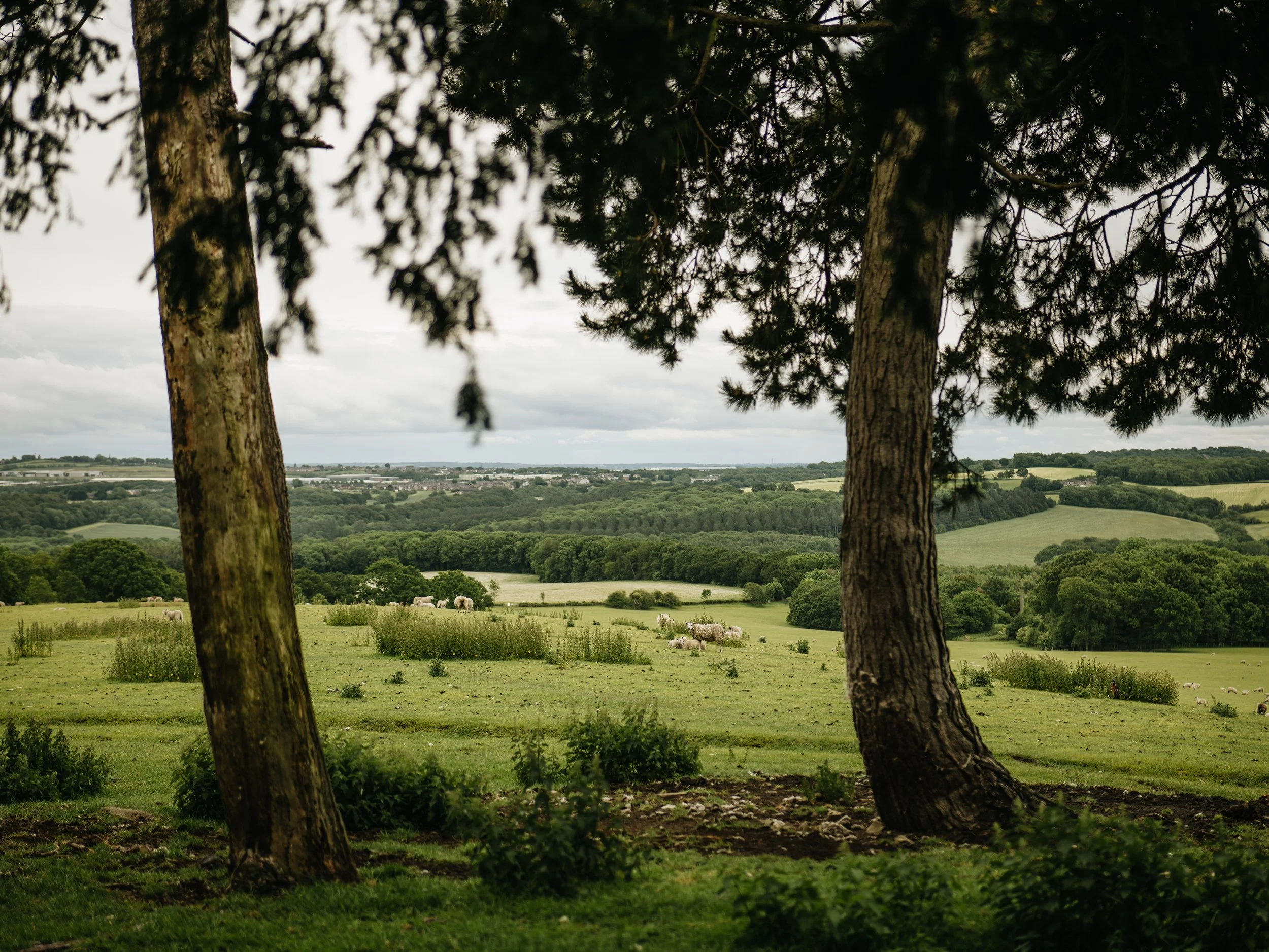Wentworth Castle Gardens-68.jpg