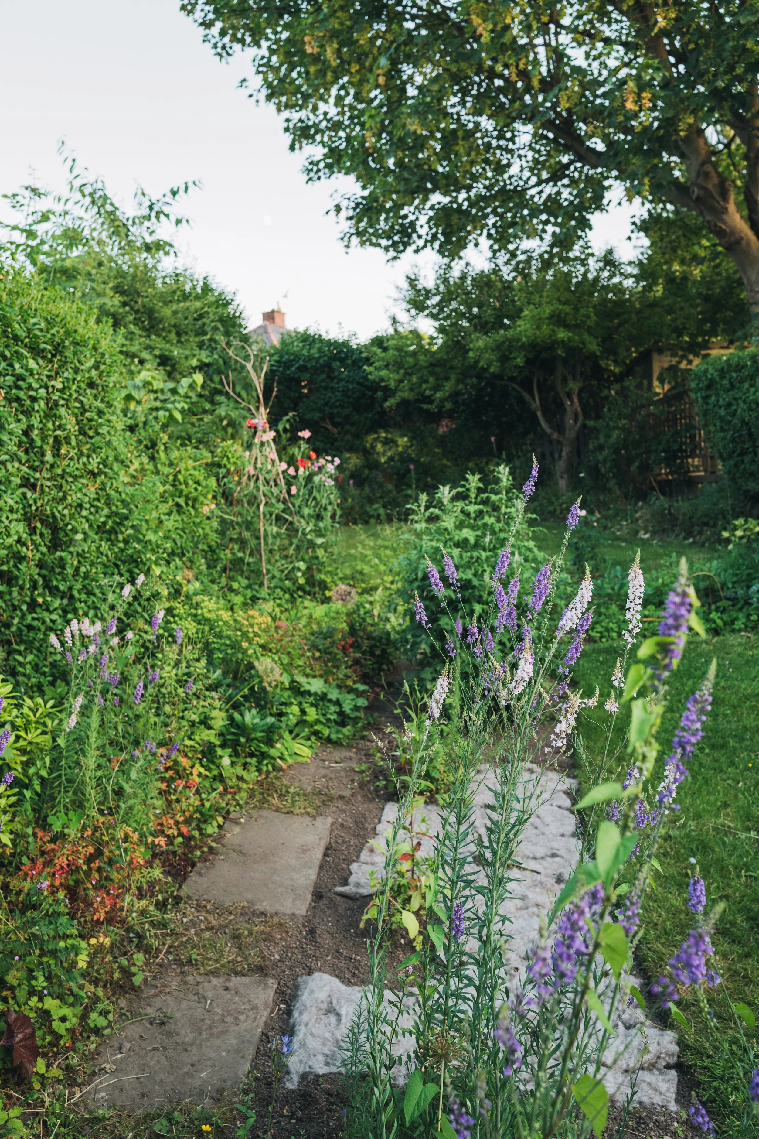 Our Garden-24.jpg